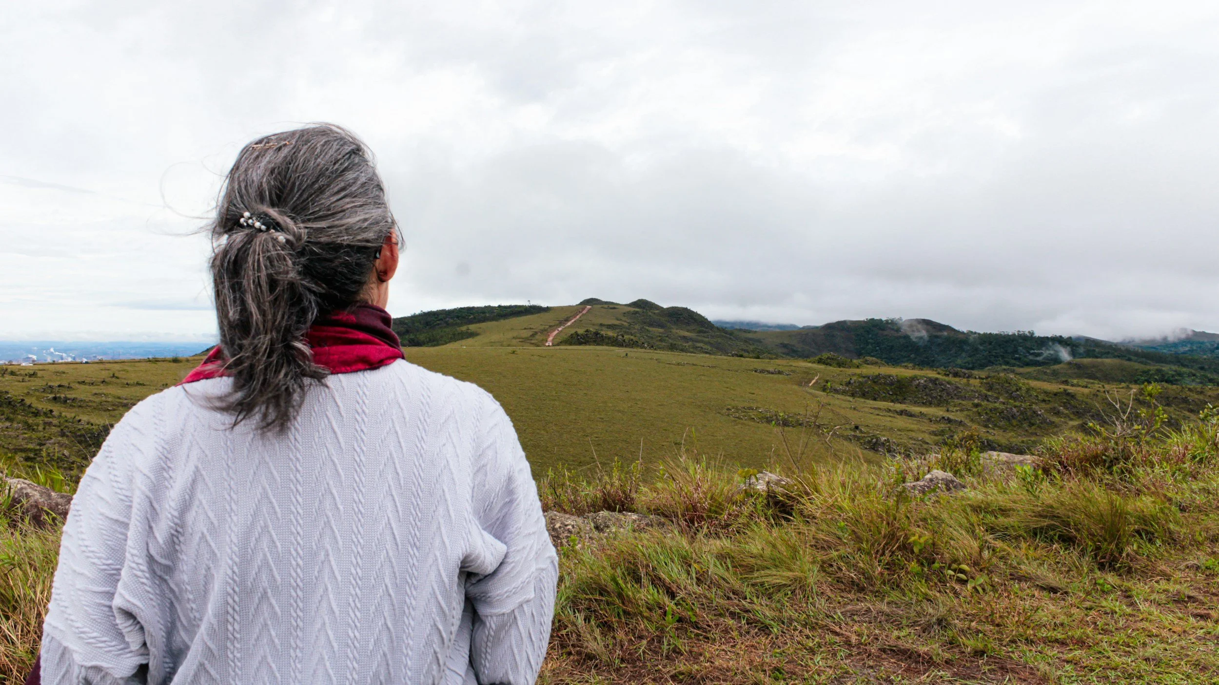 A woman looking out at the landscape view