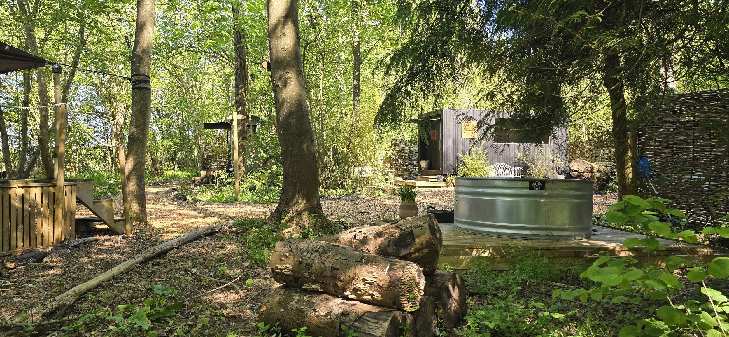 A sauna tucked away in a woodland