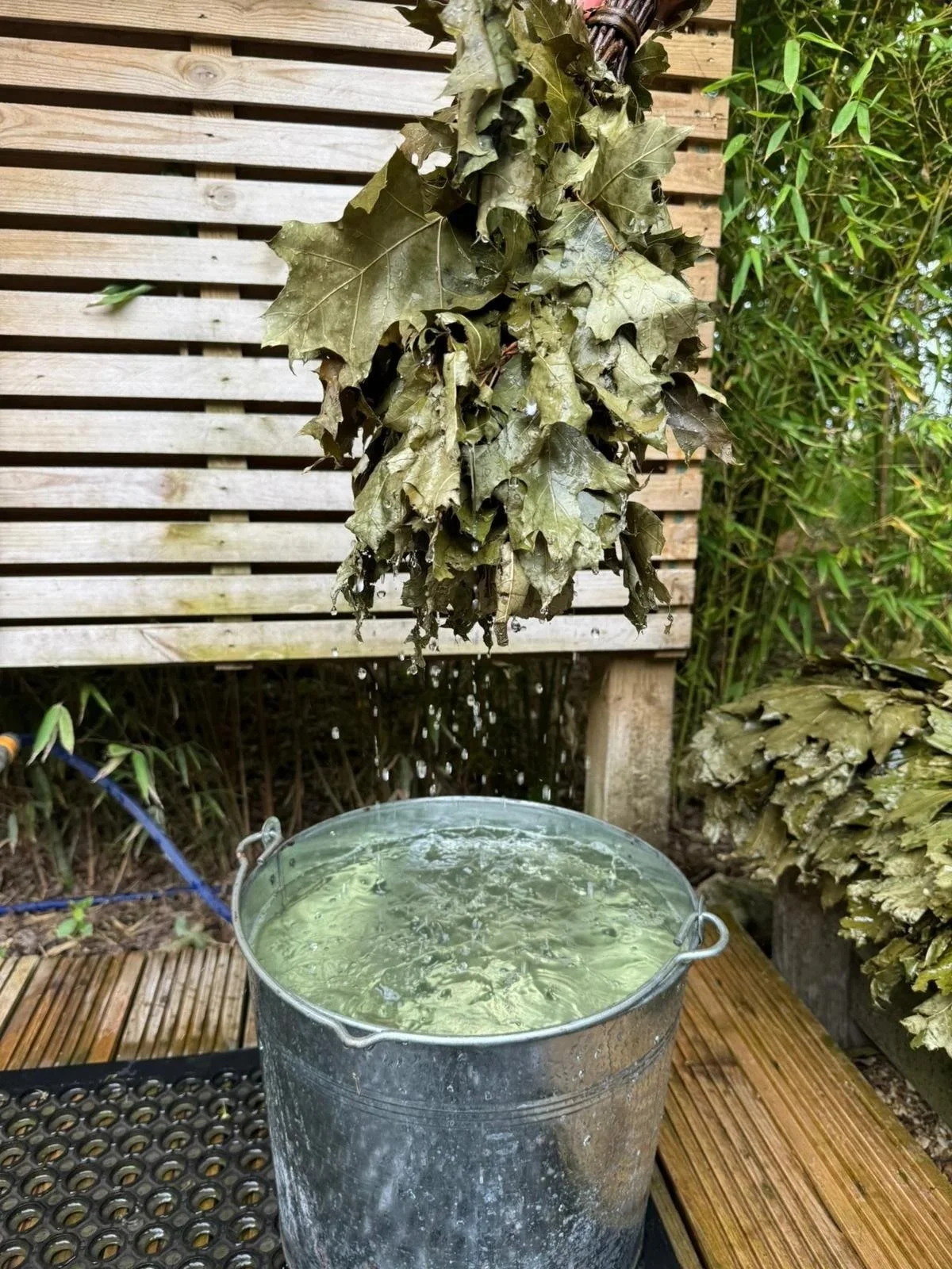 Oak whisk dripping with water over a steel bucket