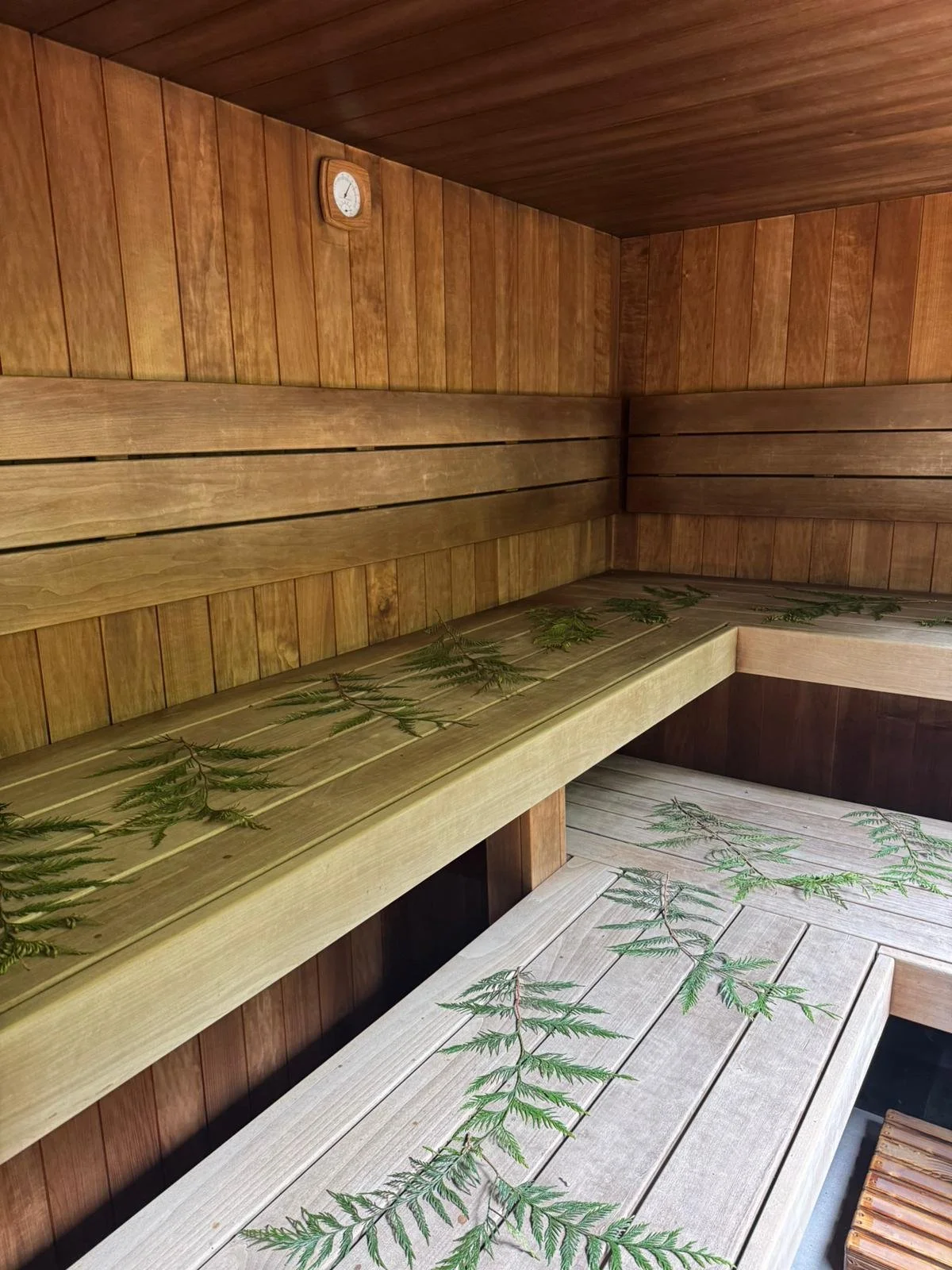 Sauna with pine leaves scattered on bench