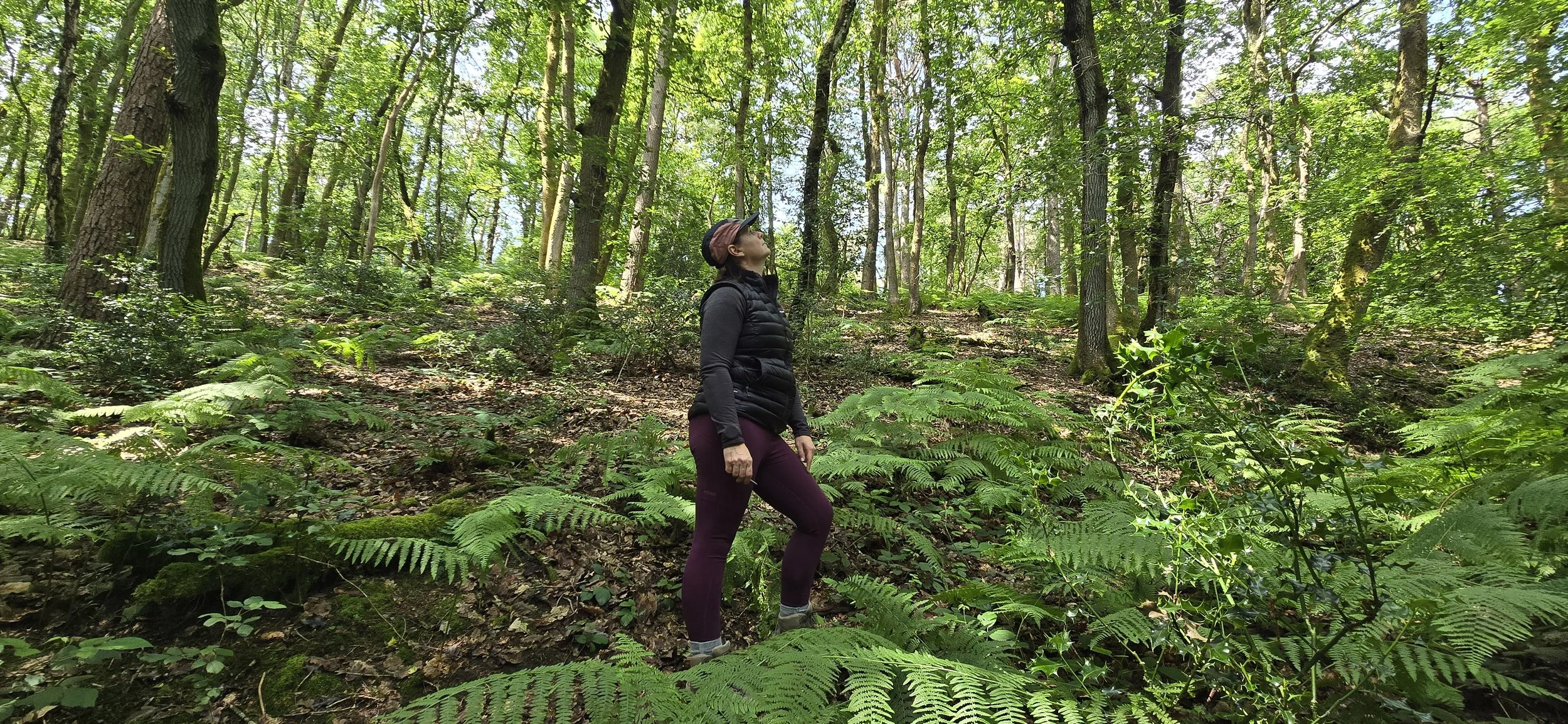 Chantelle standing in woodland observing the canopy of trees above