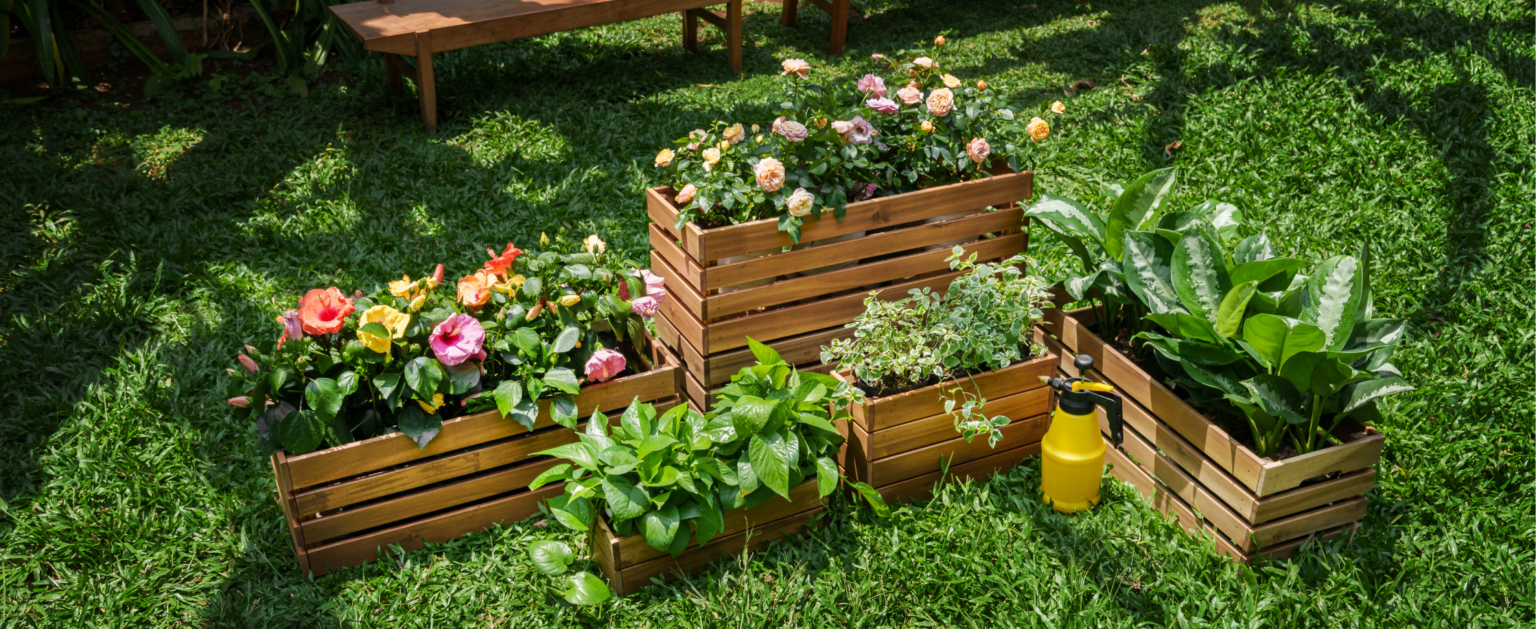 Aplus-Planter Box-Use case-garden-desktop.png