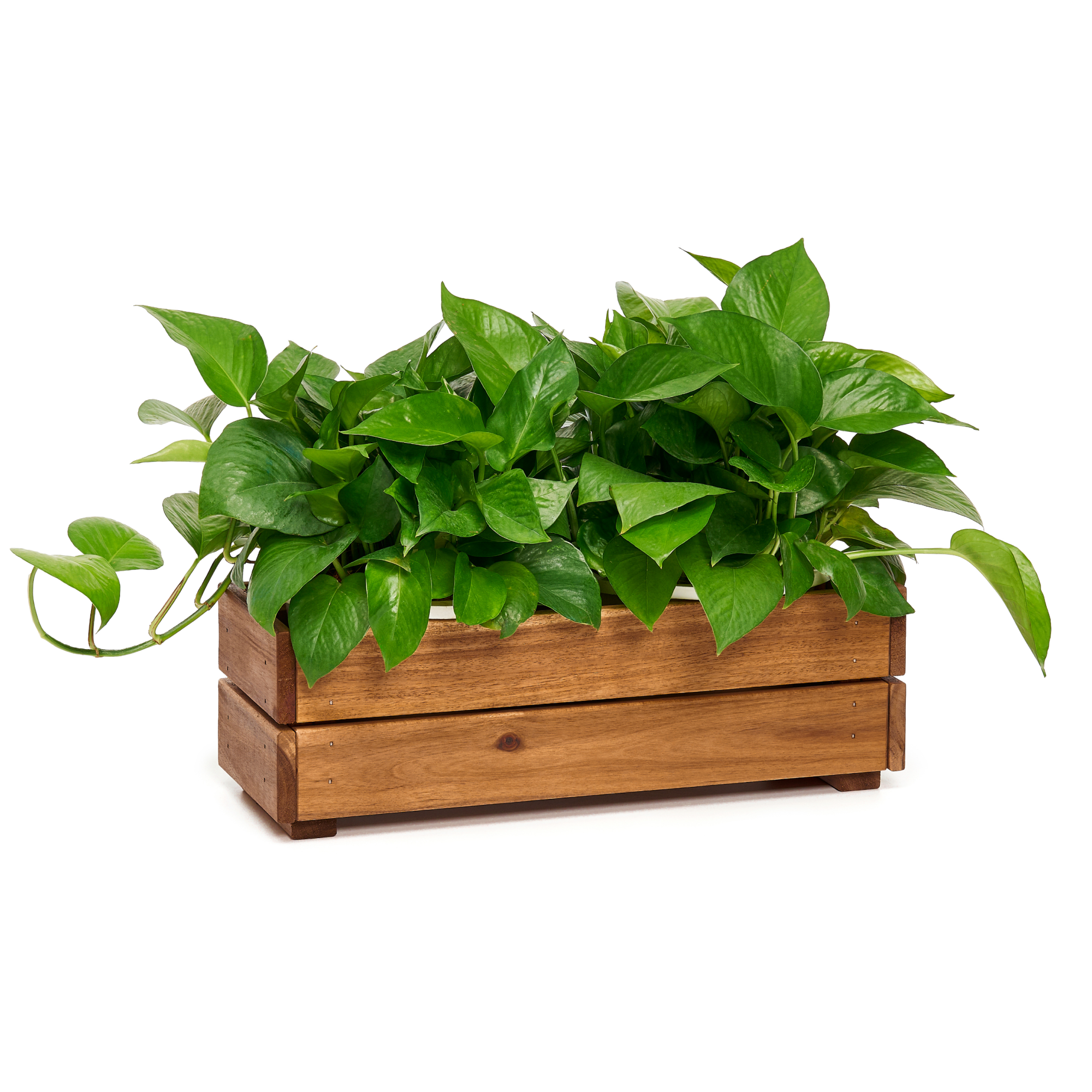 Wooden Planter Box with Crate Style, Acacia Wood Flower Container