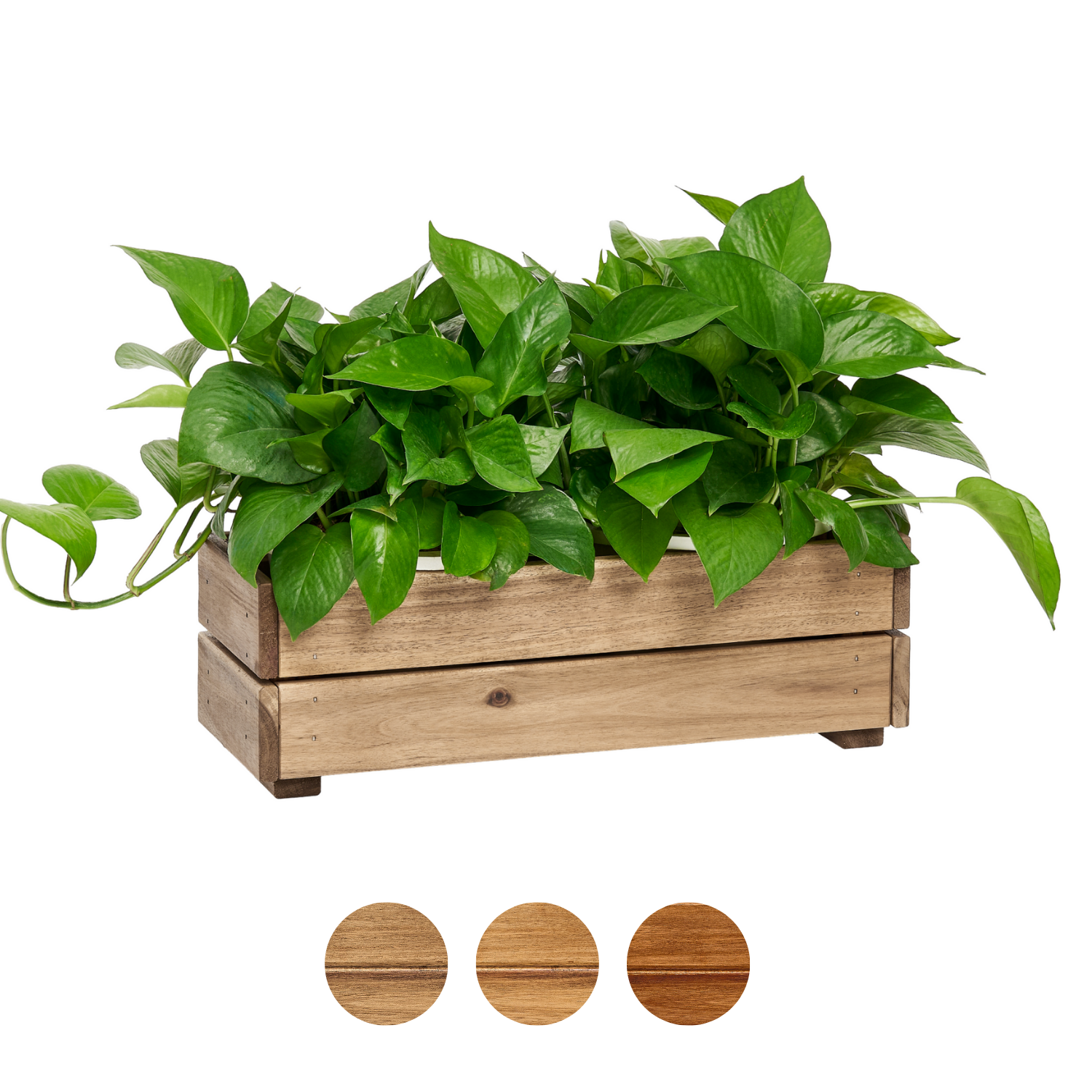 Wooden Planter Box with Crate Style, Acacia Wood Flower Container