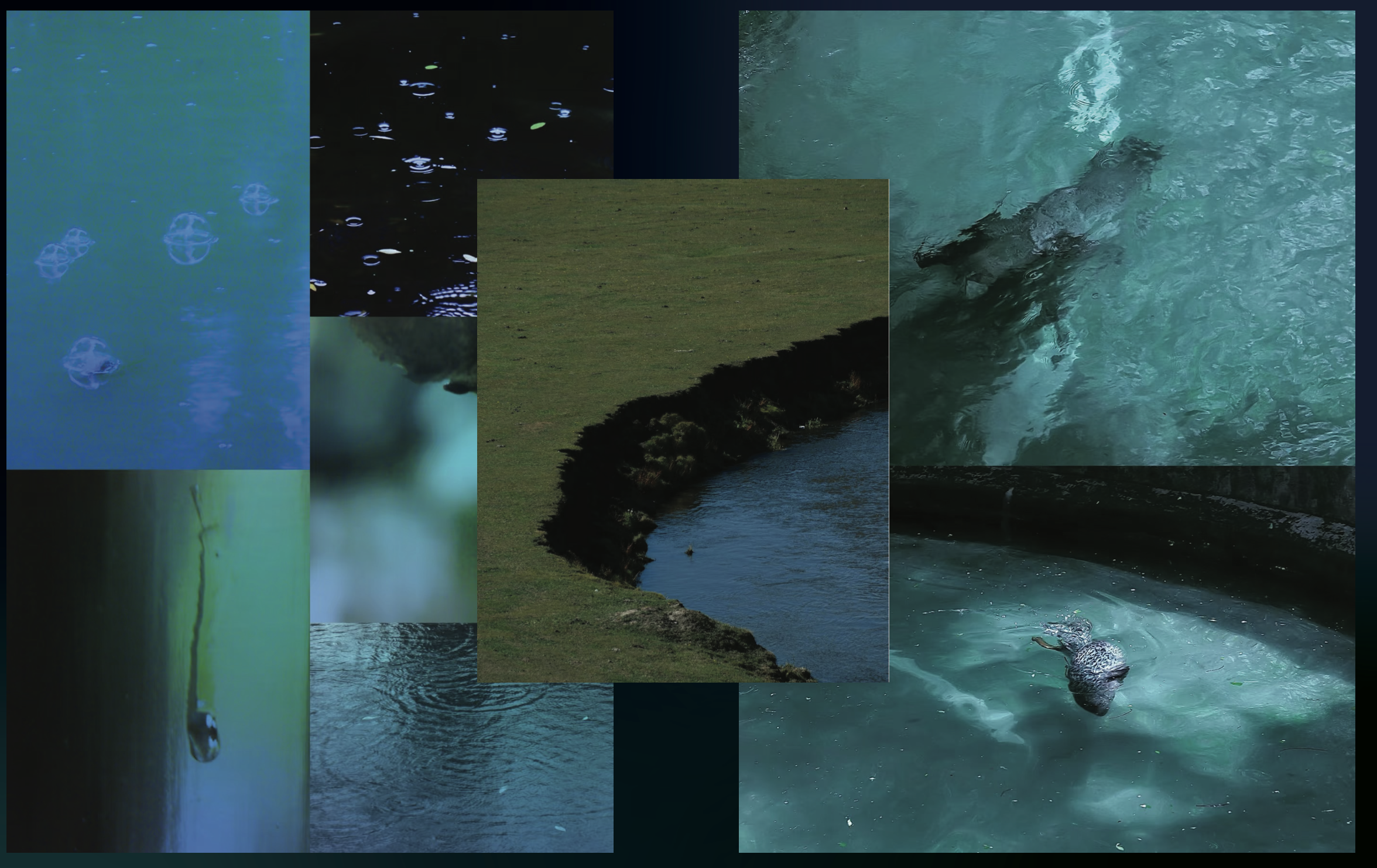 Screenshot 2026-02-27 at 10.18.25 PM.png