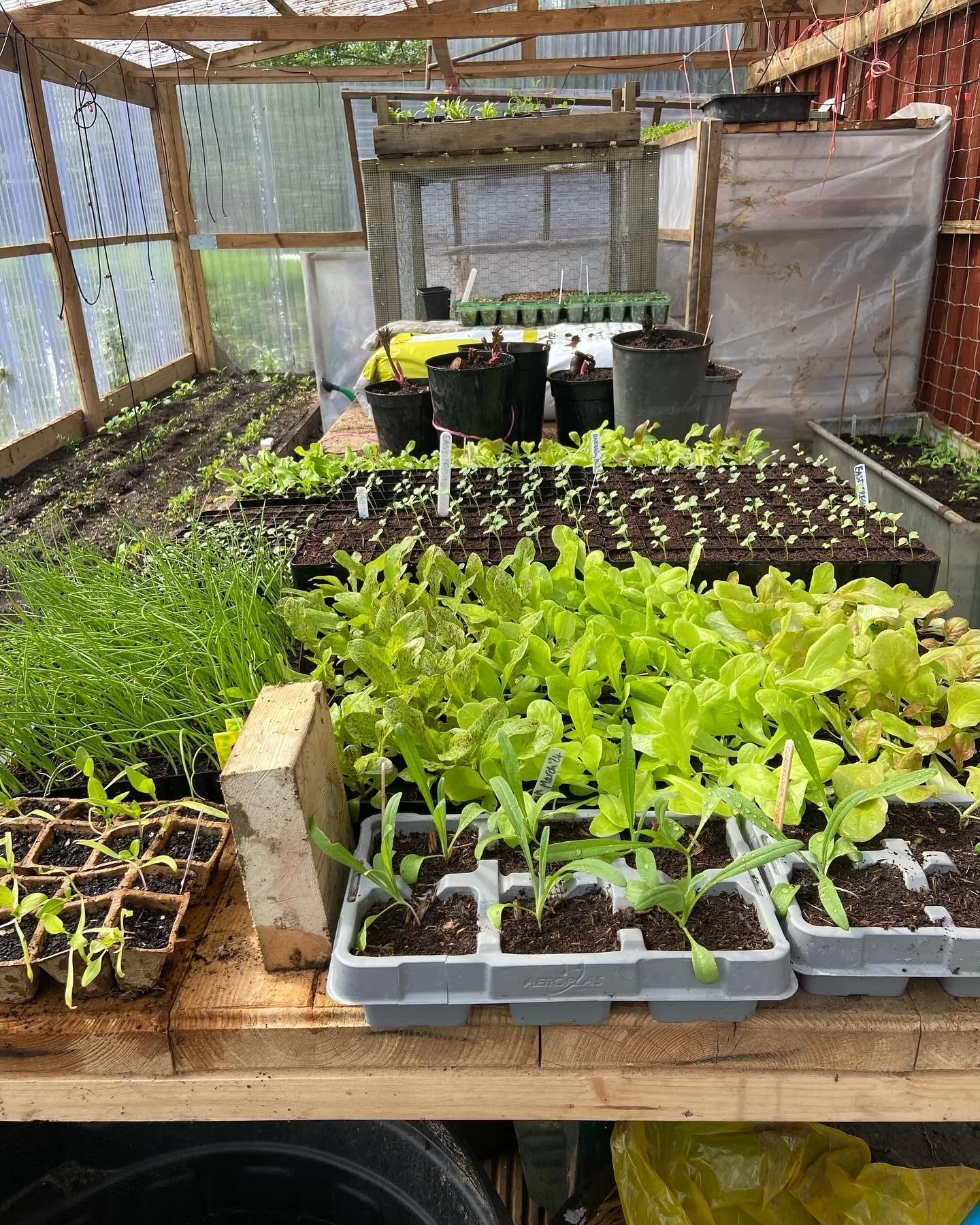 E80A2BC1-CD26-4EED-8D6D-AA76A12B8CB2 2.JPG