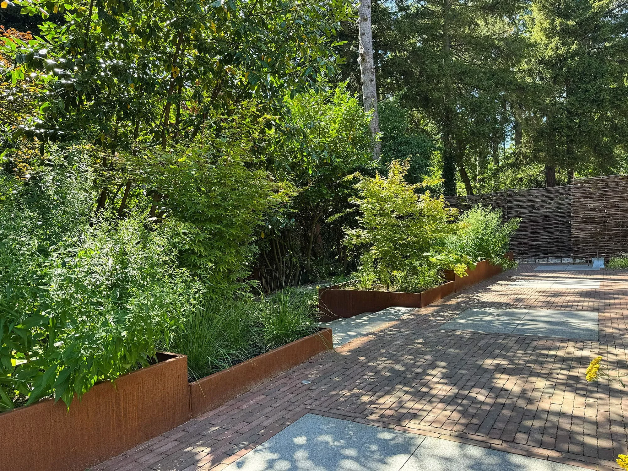 A paved outdoor walkway next to lush green plants and trees, with a tall wooden fence in the background and sunlight casting shadows on the ground.
