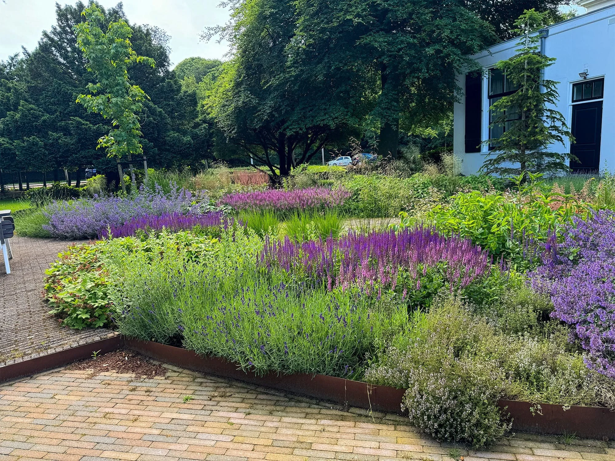In dit project ligt de focus op de naadloze overgang tussen het bakstenen kantoorpand en de omliggende natuur.