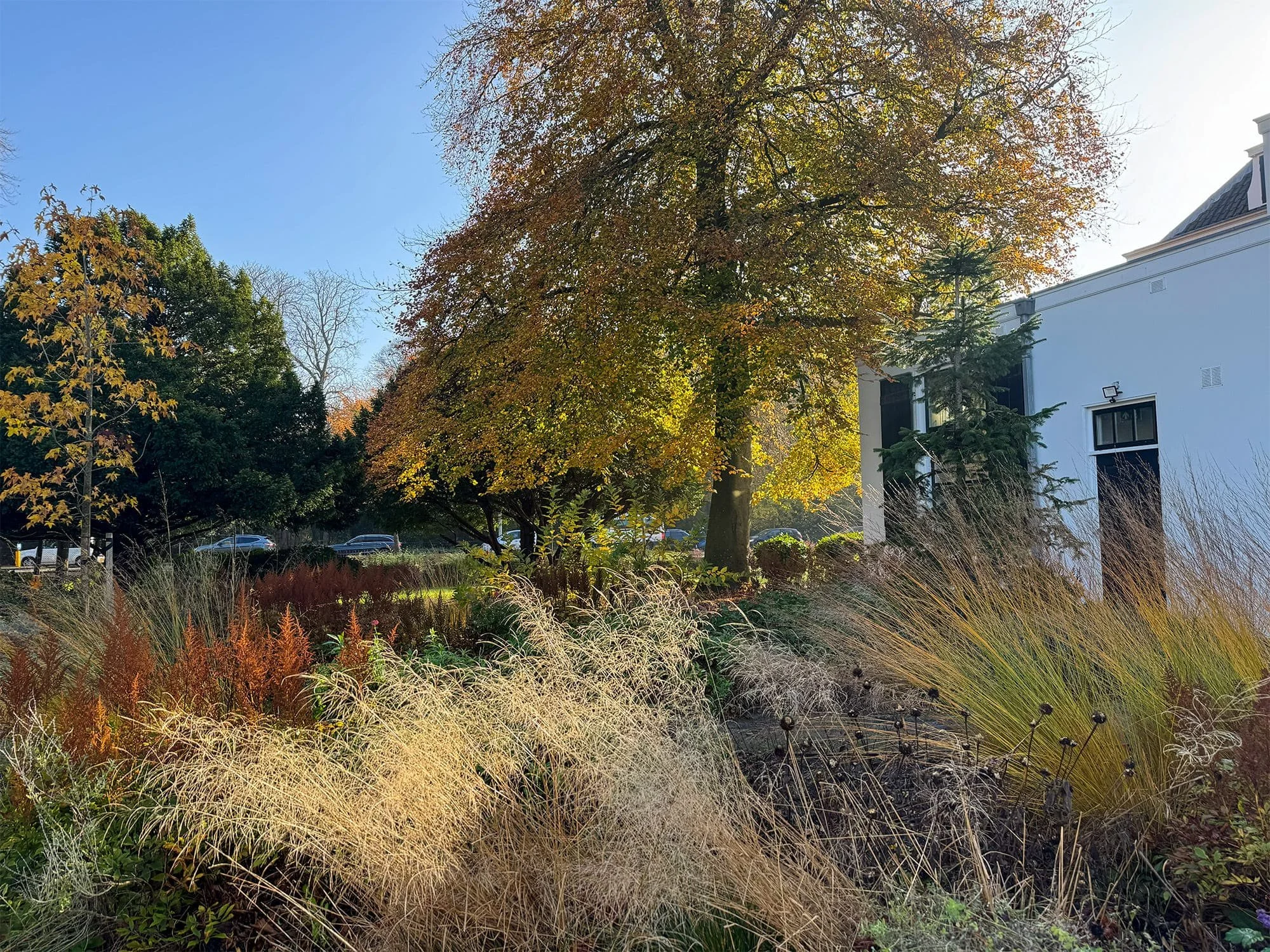 De beplanting is ontworpen om in elk seizoen architectonische en visuele waarde te behouden. In het najaar kleuren de bladerdekken van de bomen en de siergrassen mee met het natuurlijke herfstlandschap.