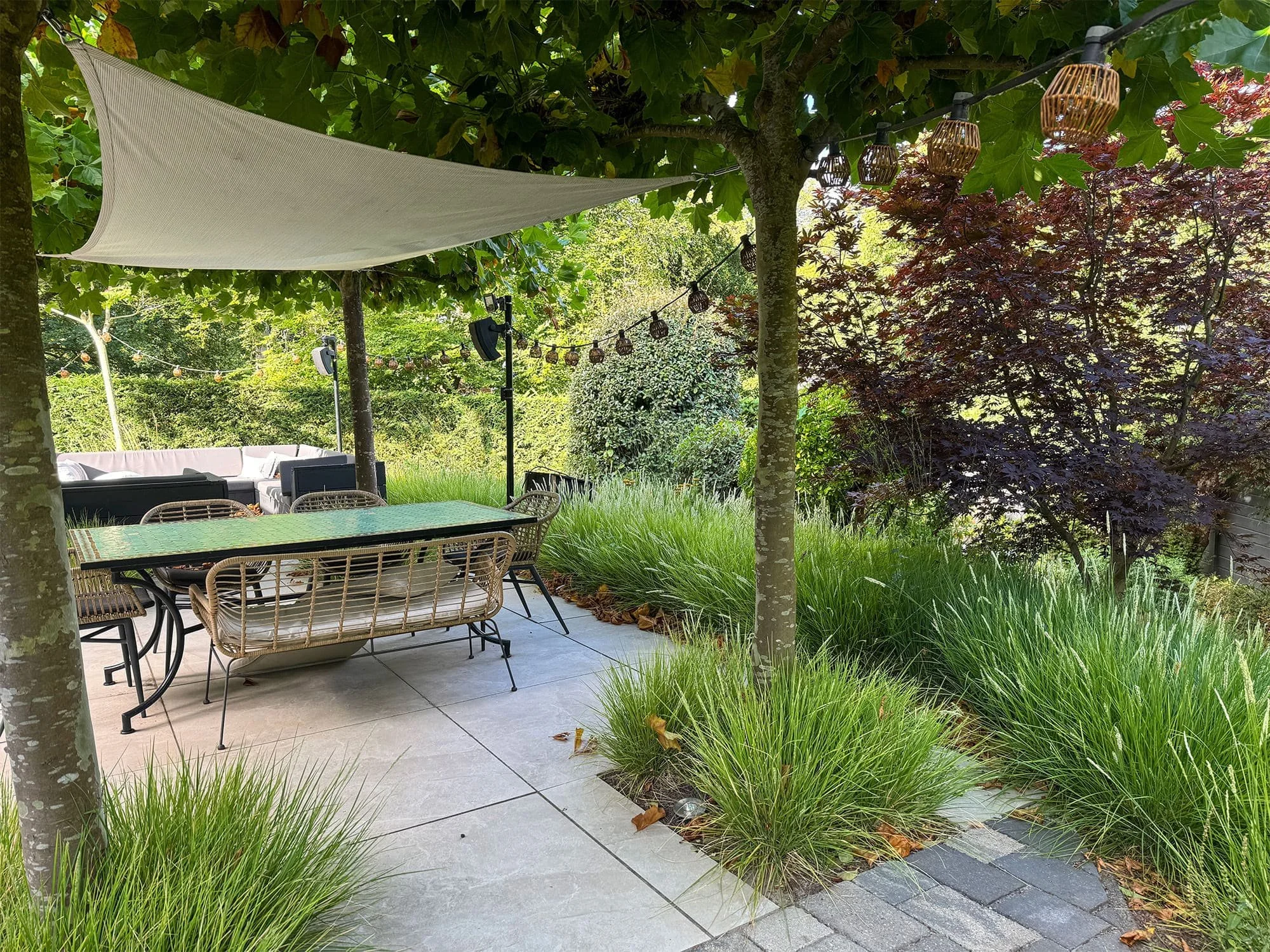 Plantenborder met een massale aanplant van groen Sesleria autumnalis siergras.