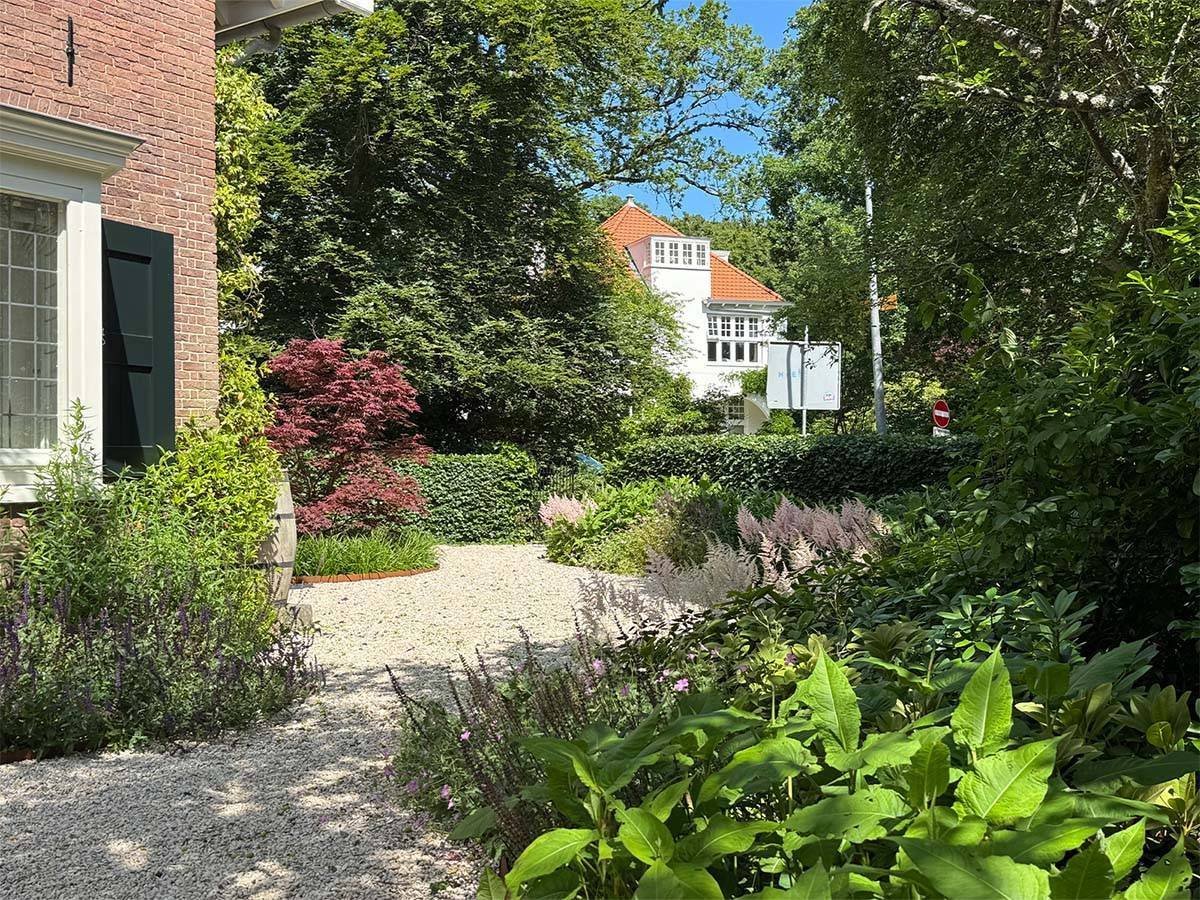 Slingerend grindpad met een donkerrode Japanse esdoorn en weelderige groene plantenborders voor een witte villa.