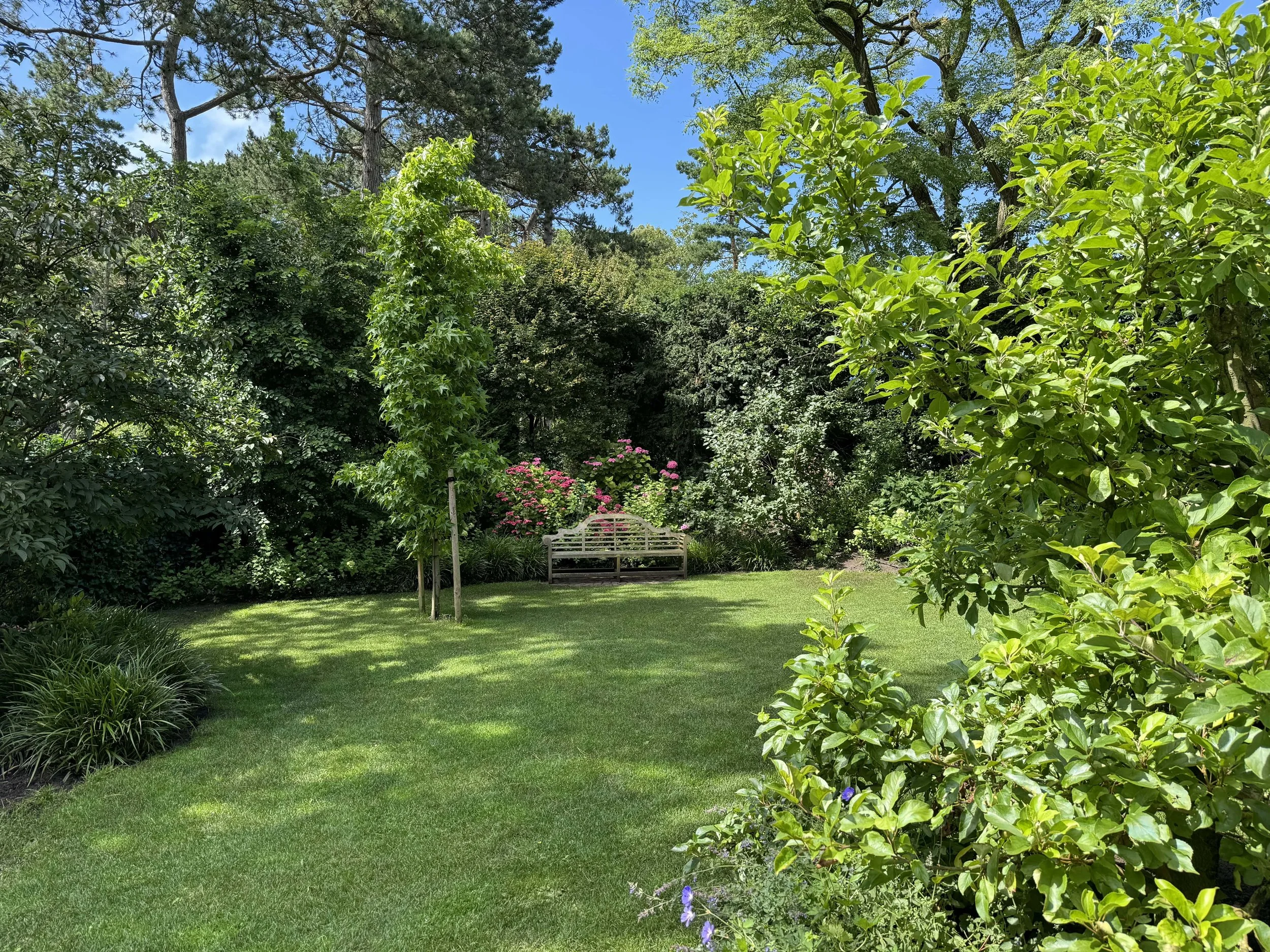Een vitale, groene tuin met een weelderig gazon, volwassen heesters en een houten tuinbank op de achtergrond.