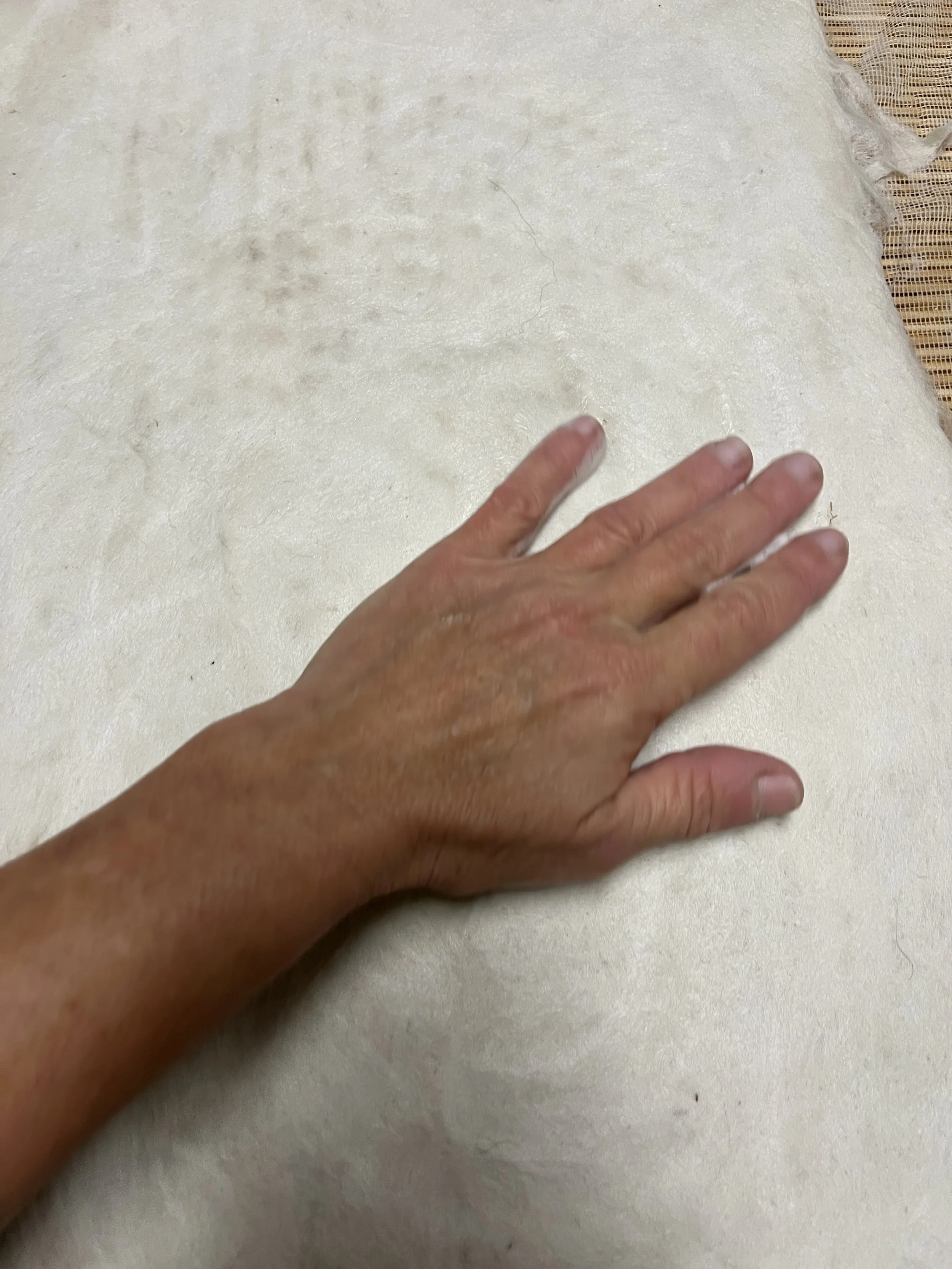 Feutrage à l'eau chaude - Alpagas du Rompay - Alpagas Bretagne - France