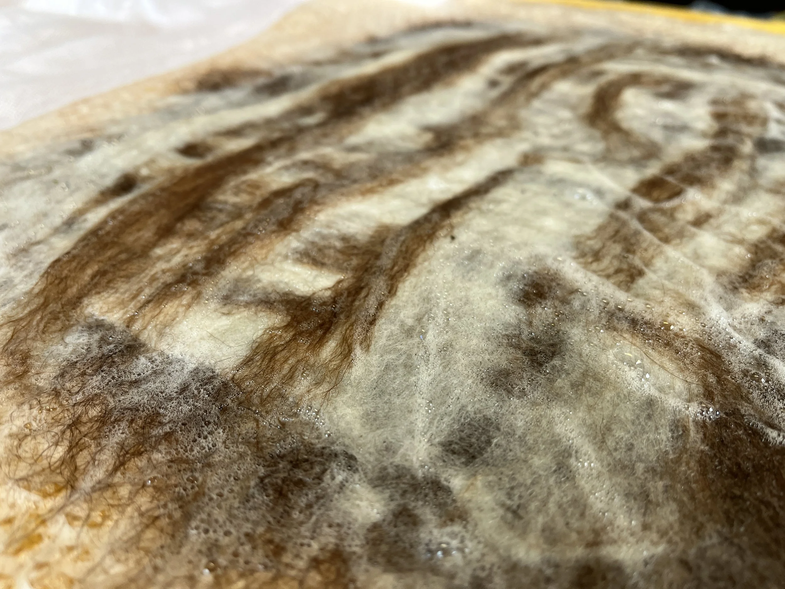 Feutrage à l'eau chaude - Alpagas du Rompay - Alpagas Bretagne - France