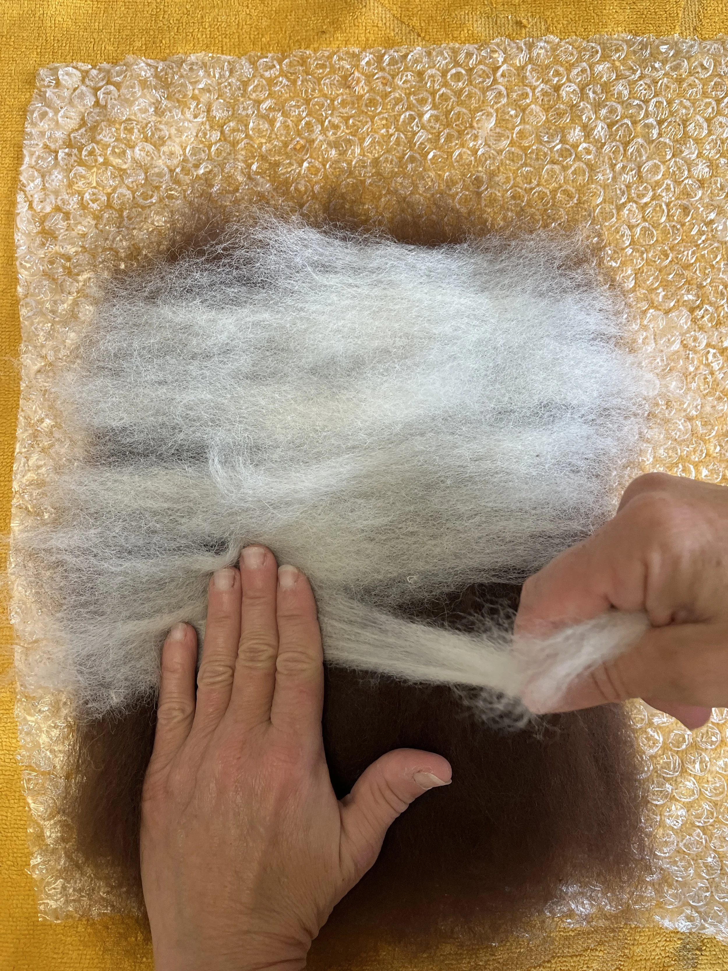 Feutrage à l'eau chaude - Alpagas du Rompay - Alpagas Bretagne - France