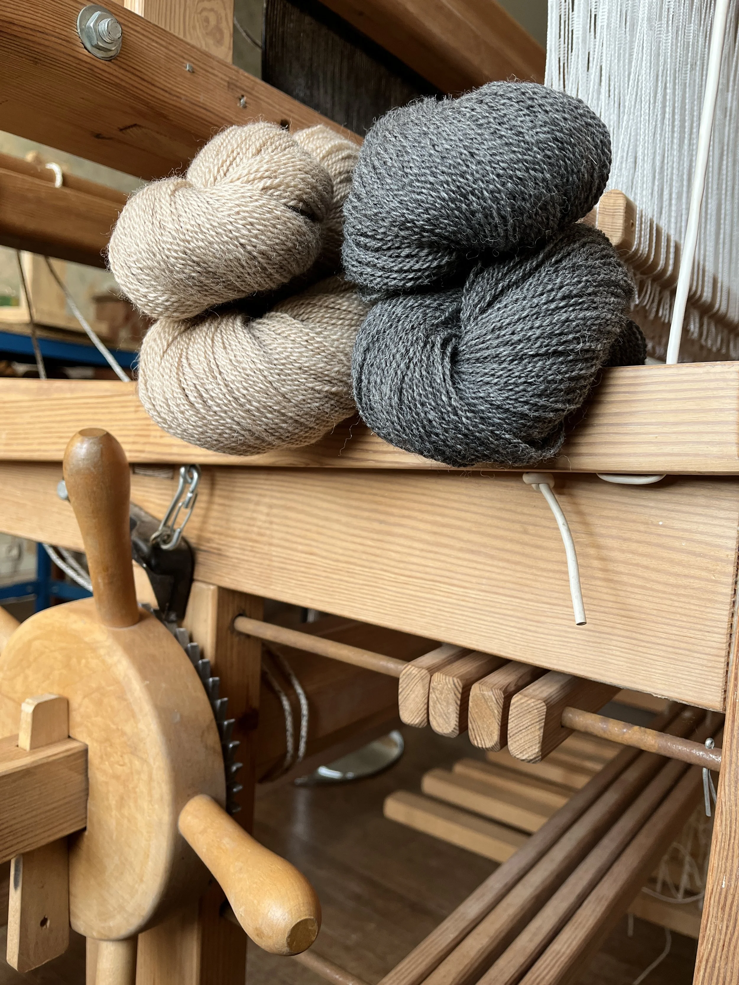 Alpagas du Rompay - Alpagas Bretagne - France