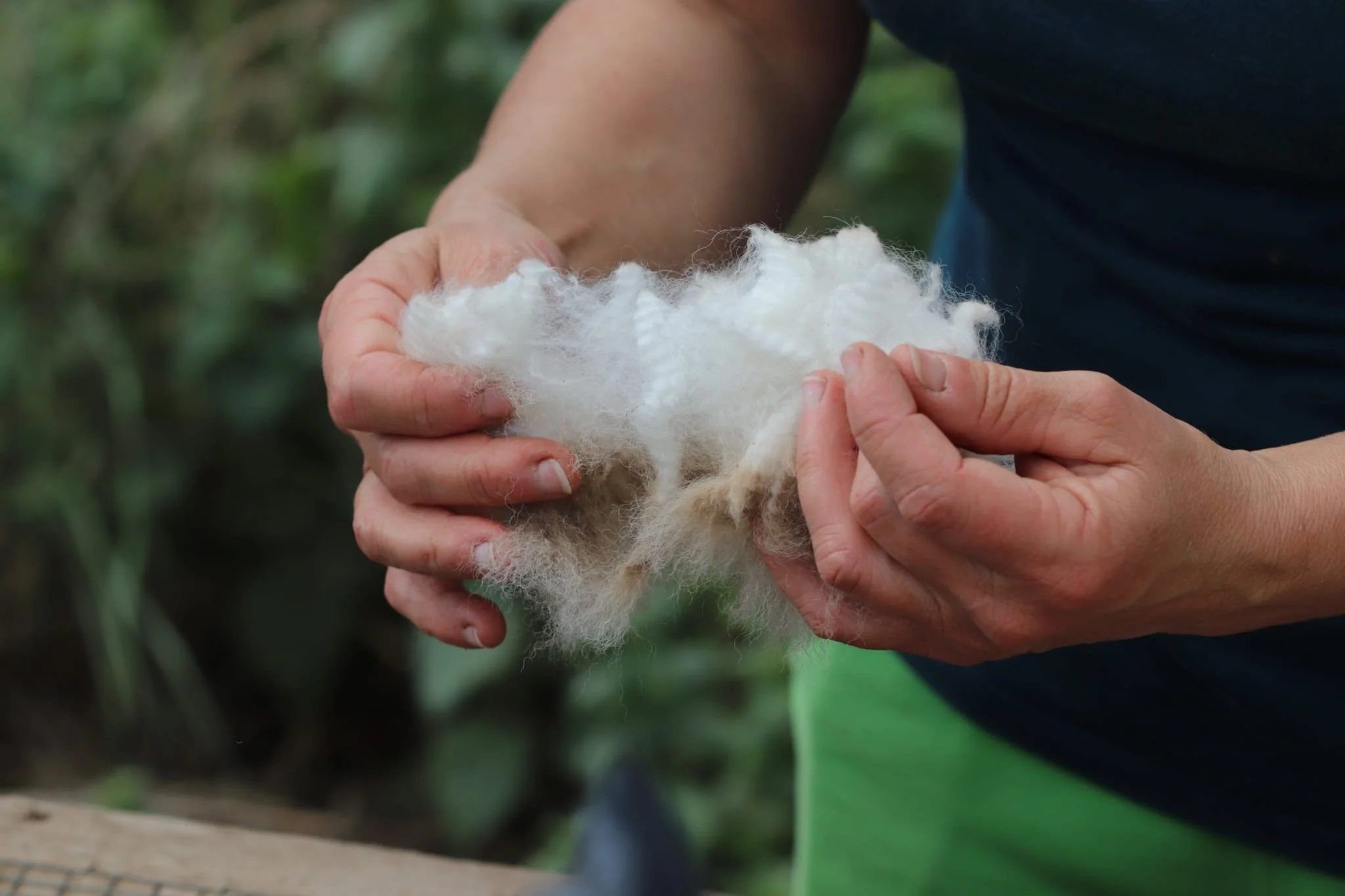 De la toison à l’ouvrage
Comprendre la fibre, la toucher, la voir évoluer… et enfin la tricoter. Nos retraites proposent une expérience complète, de la découverte de la toison fraîchement tondue jusqu’au fil prêt à tricoter, bonnet ou châle. Le trico