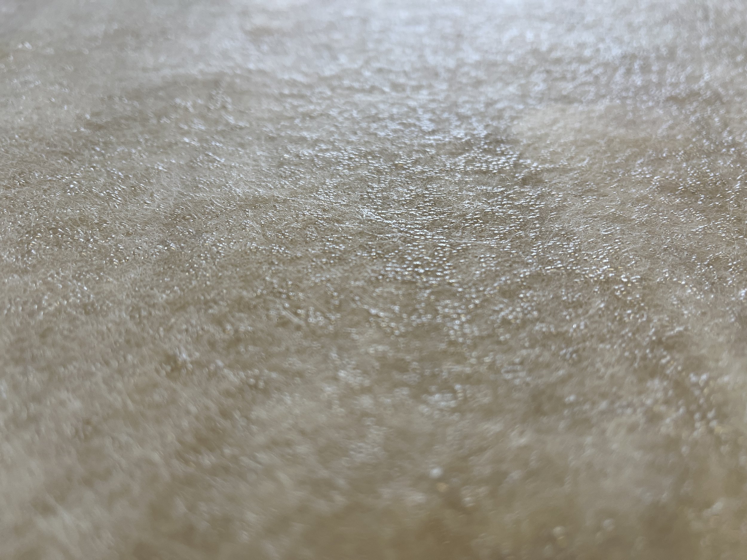 Feutrage à l'eau chaude - Alpagas du Rompay - Alpagas Bretagne - France