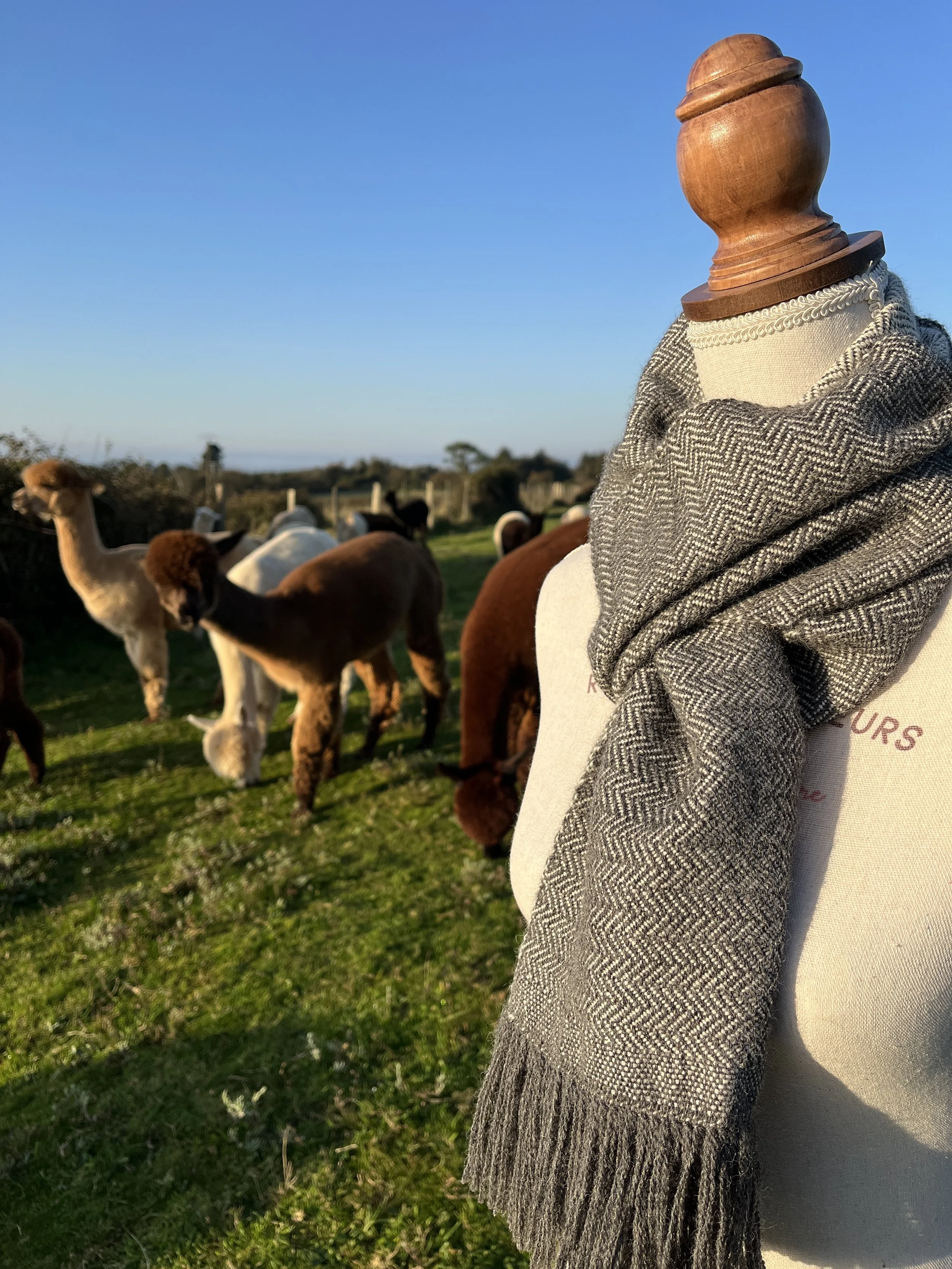 Tissage main - Alpagas du Rompay - Alpagas Bretagne - France