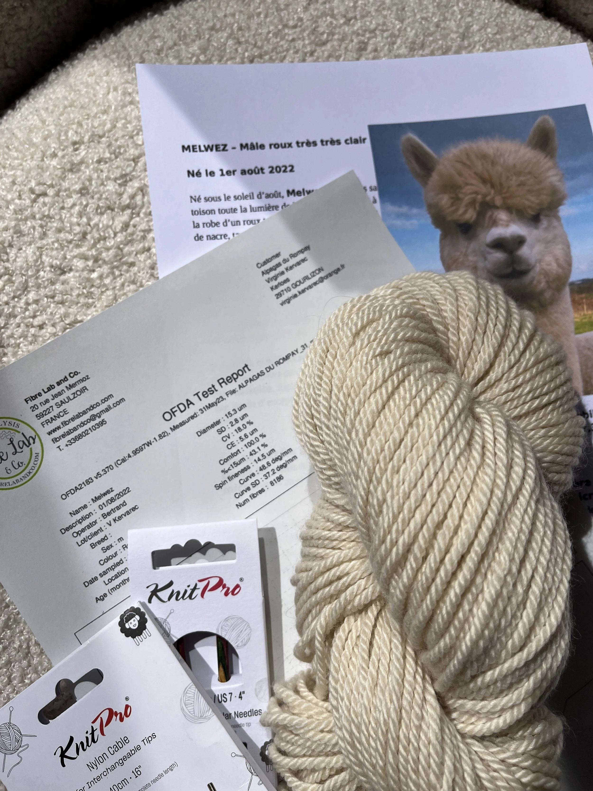 Moment unique lors des retraites tricot immersives aux Alpagas du Rompay : une participante tricote avec la laine précieuse de Royal Baby Alpaga tout en rencontrant l’animal dont elle est issue. Une expérience rare et sensorielle, entre lien à la mat