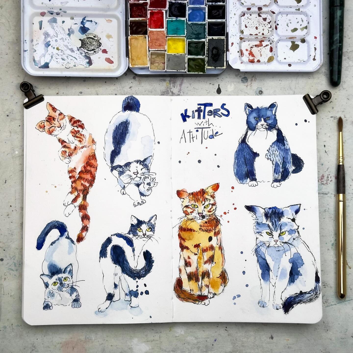 Kitters with AtiTude 🐾
Week 3 of #100dayproject 
I had fun with these kitters this week and am sure to circle back to more kitters with atitude.  I also followed one of my own parameters and happily forgot all about this on the weekend. Let&rsquo;s 