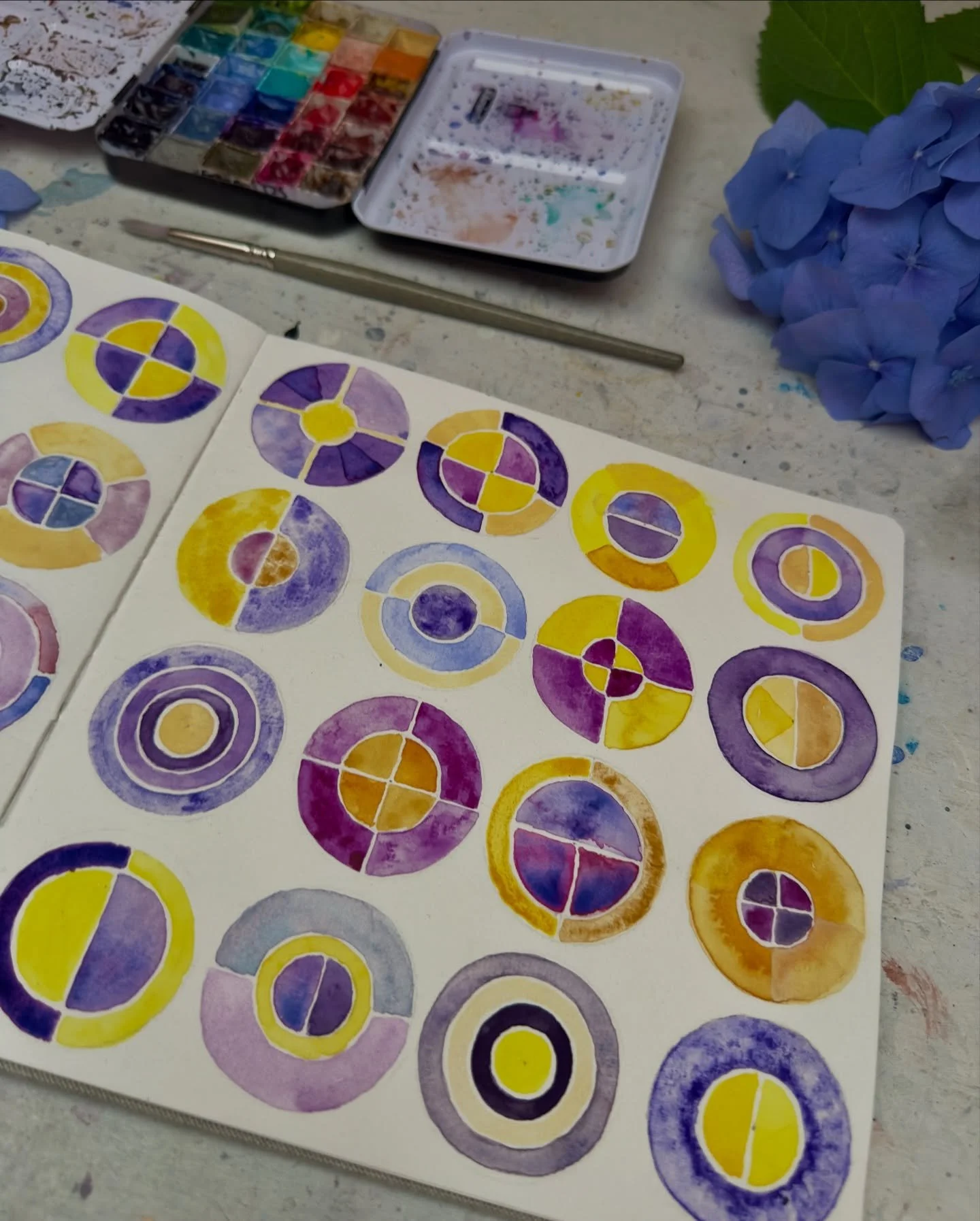 Day 7 of posting daily for 2 weeks and here are some pretty colours 💜💛💜 Don&rsquo;t they look pretty together? Nature agrees, such a beautiful combination.