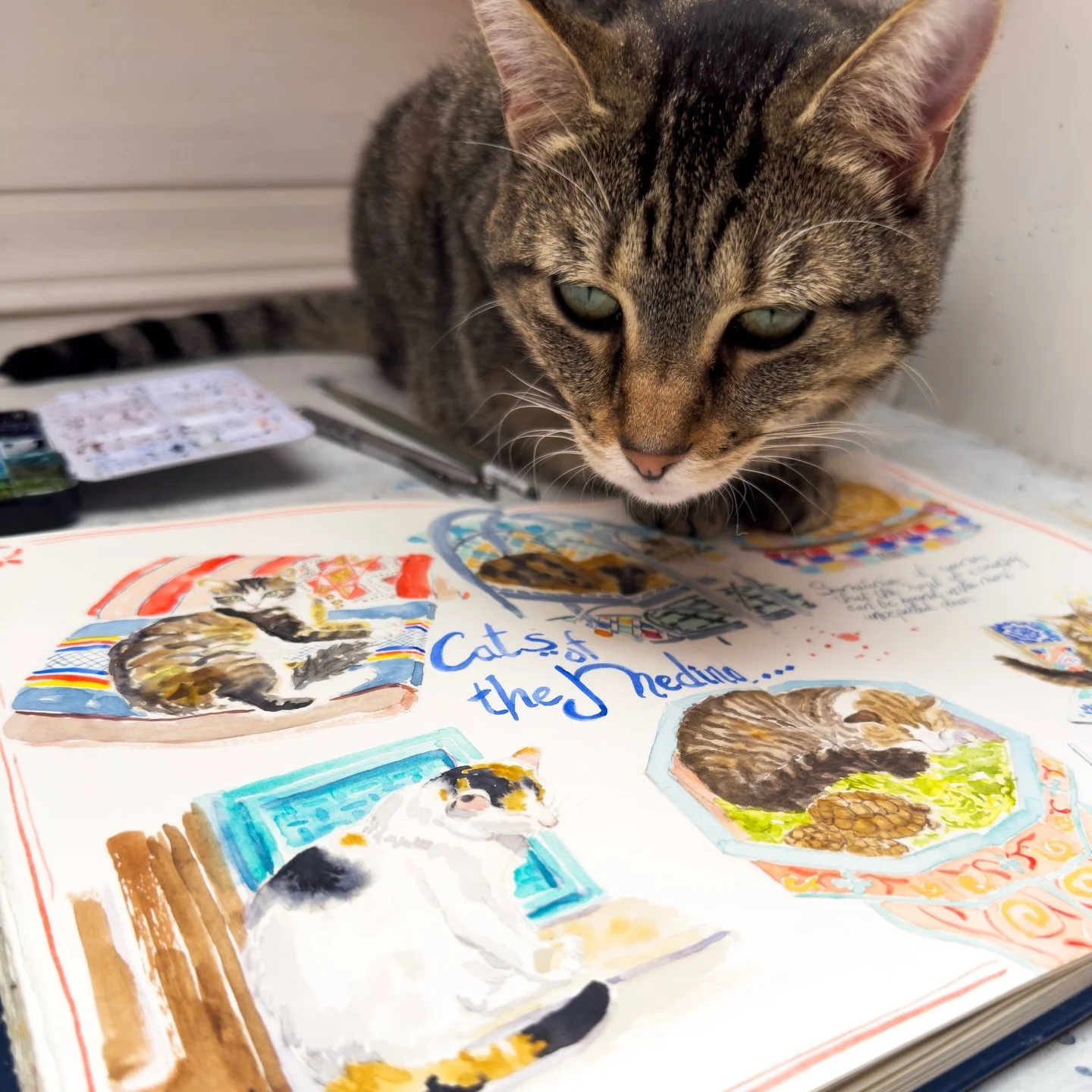 The struggle is real- trying to take photos of your sketchbook without a cat&rsquo;s tail 🐾🤣🐾 

At least she looks right at home with her fur buddies here, the beautiful cats of the Medina!

✍️ I LOVED seeing all the cats, cared for communally, li