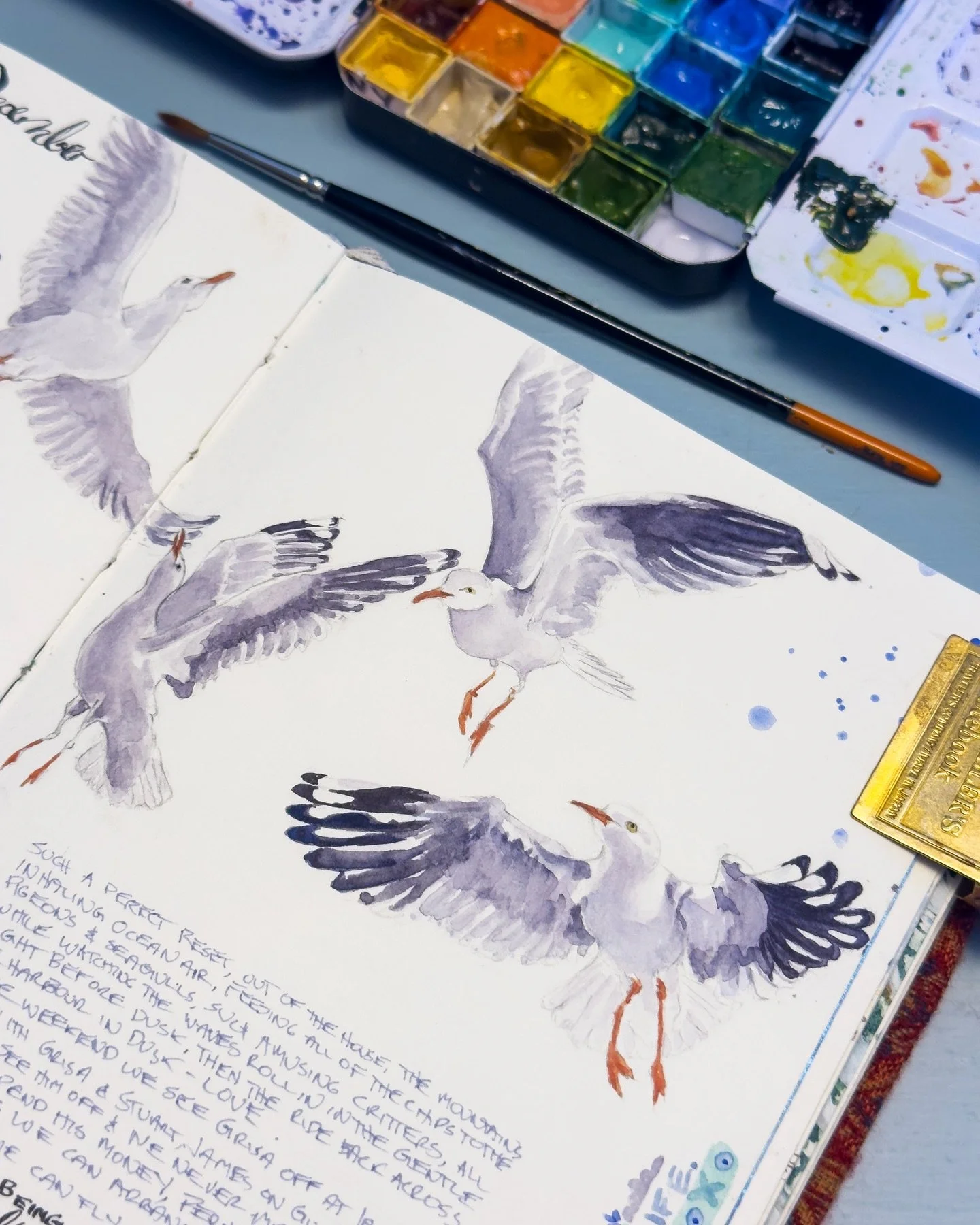 A lot more than Three Little Birds 
We love to take a trip down the mountain and ferry hop for the day, landing in Manly where the seagulls get the lion share of the chips but not the Buddha salad with nashi.
#astilllifejournal