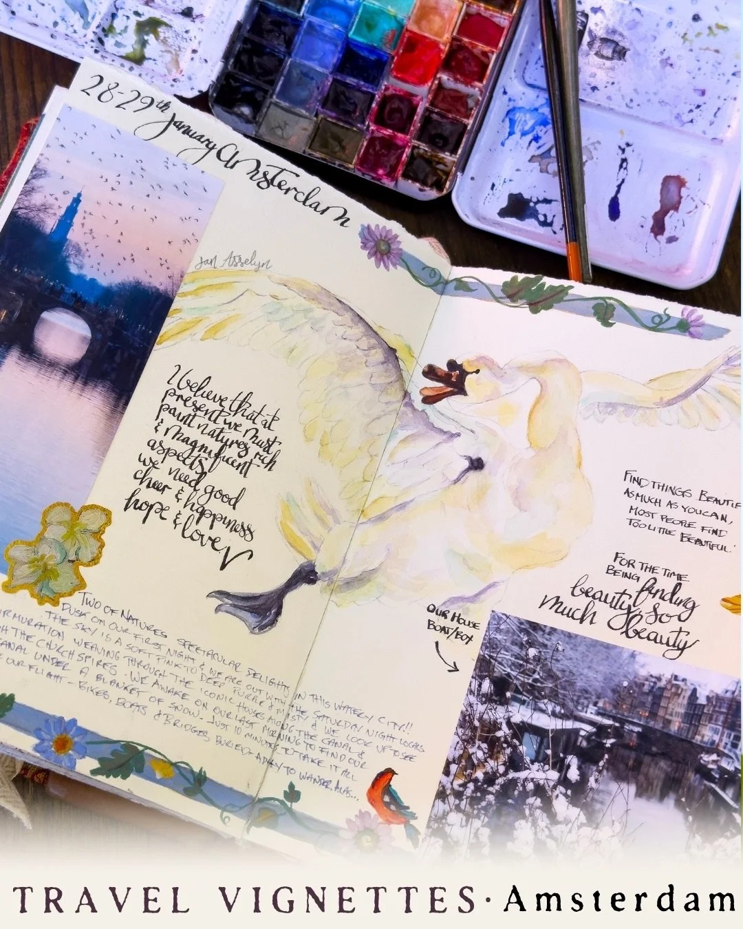 Amsterdam greeted us with a murmuration.

Saturday evening, dusk falling pink over the canals, and suddenly the whole city was outside &mdash; walking, watching, living. The starlings moved through the church spires like a single breathing thing. We 