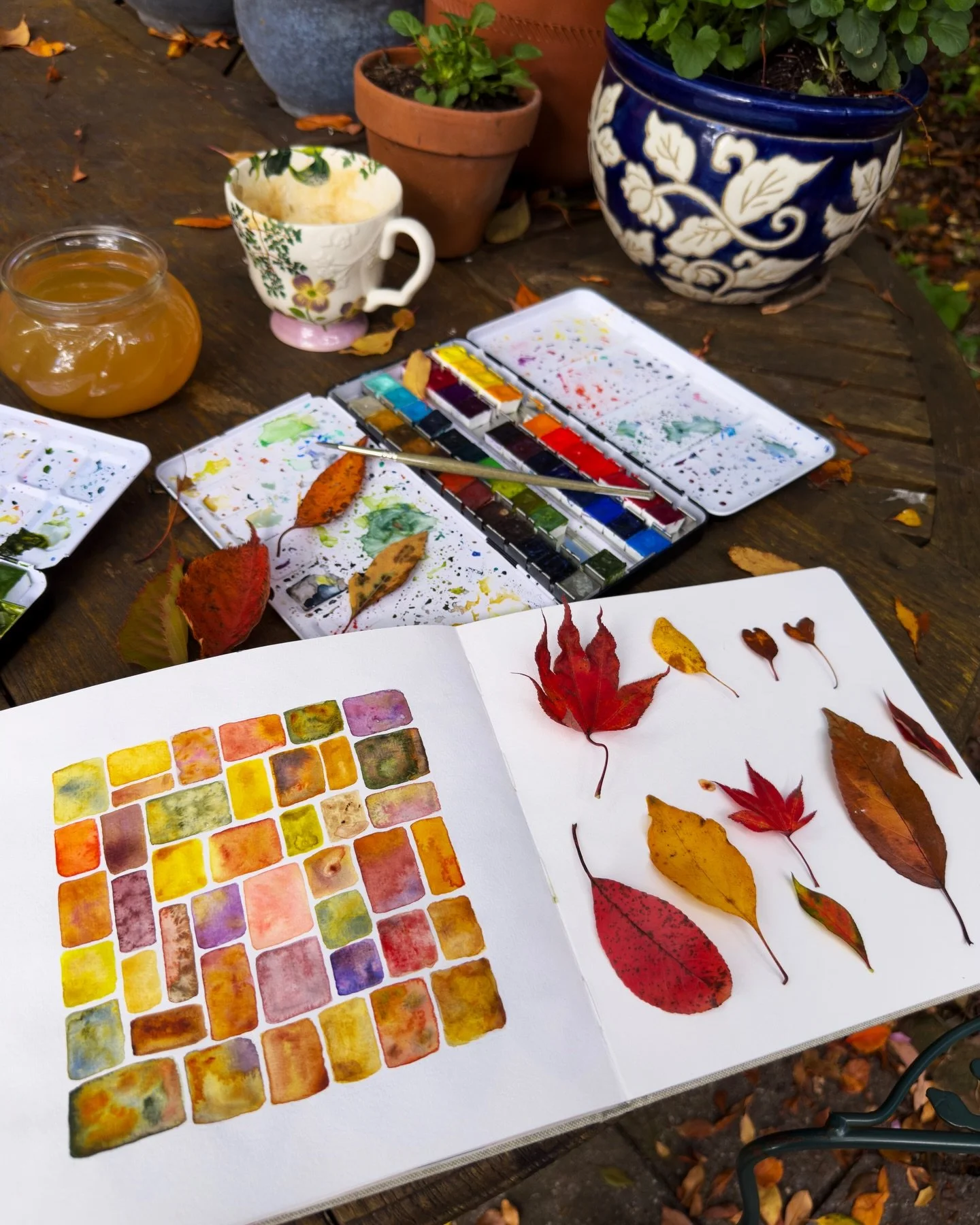 Quiet mornings, before the scroll, before the day begins.
Just bird song, coffee, and the soft gold light coming through the garden. Autumn is doing everything right this week &mdash; rust and orange and umber, burgundy and amber and all the purples 