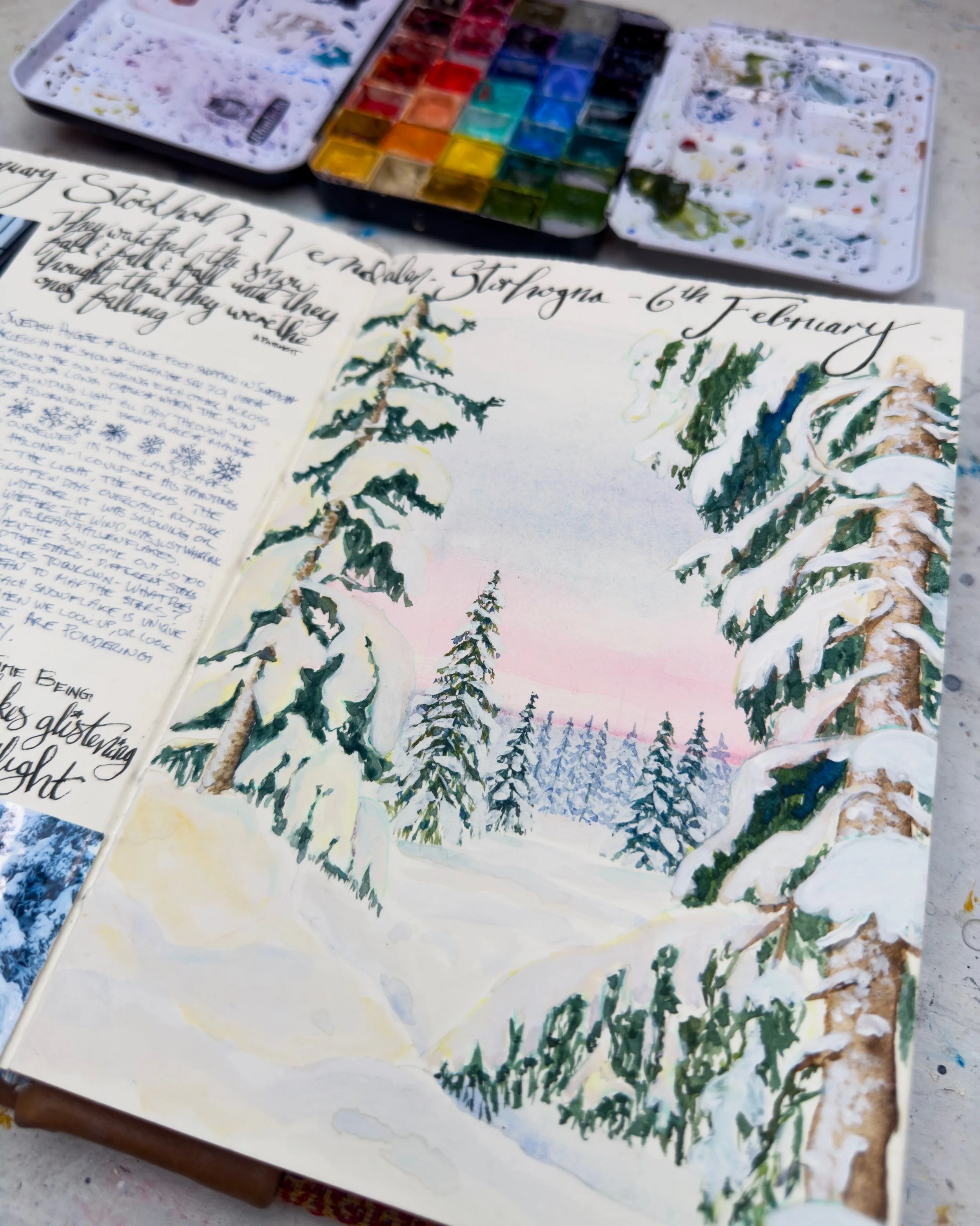They watched the snow fall &amp; fall &amp; fall until they thought that they were the ones falling.
&mdash; Ann Patchett

Stockholm to Vemdalen, 29th January to 6th February.
A scenic bus north, pausing  only for reindeer who take their own sweet ti