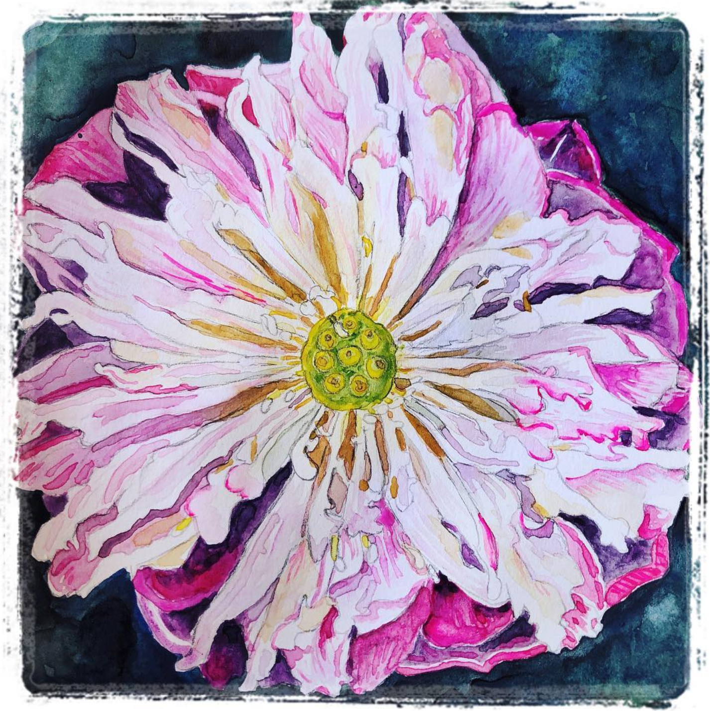 Lotus Watercolour Galia Alena.png