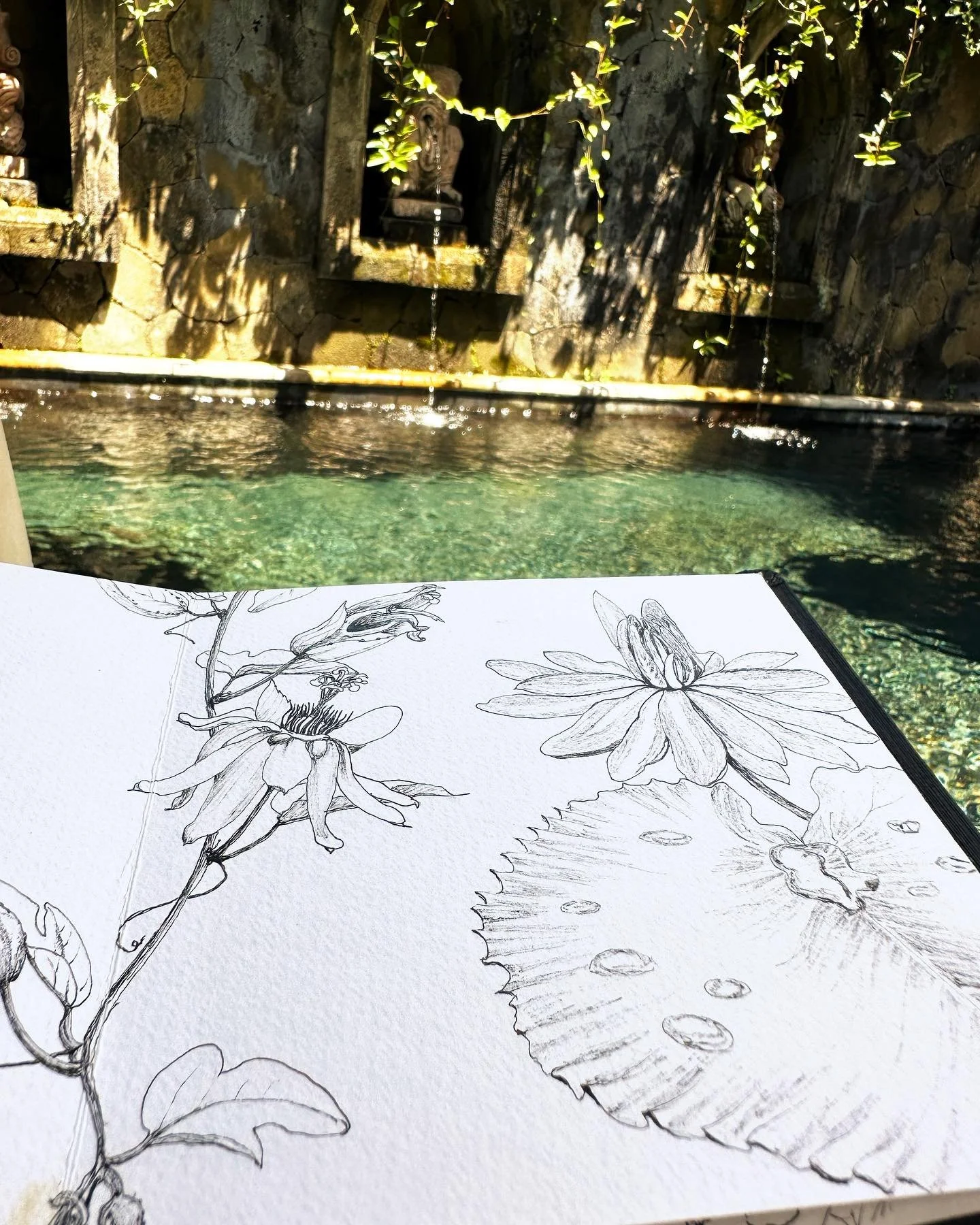 Sketching flora in Bali Galia Alena.jpeg