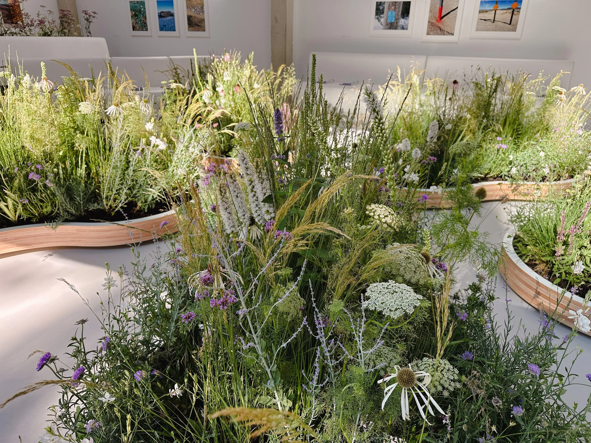 Goodwood Art Foundation Planting Design-22.jpg