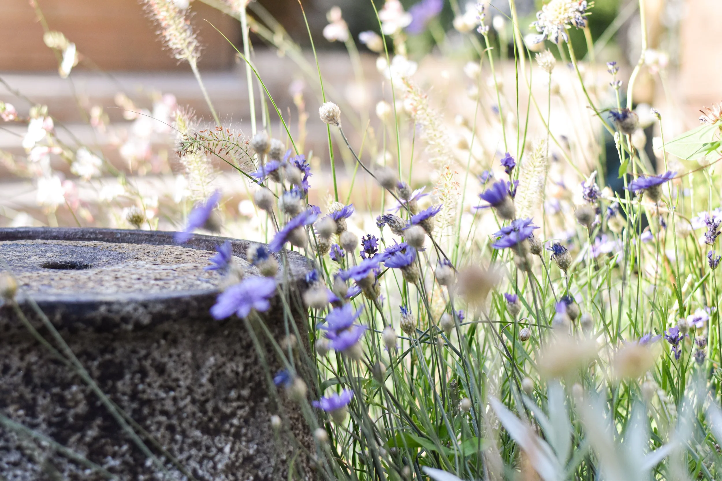 Highams Park Garden