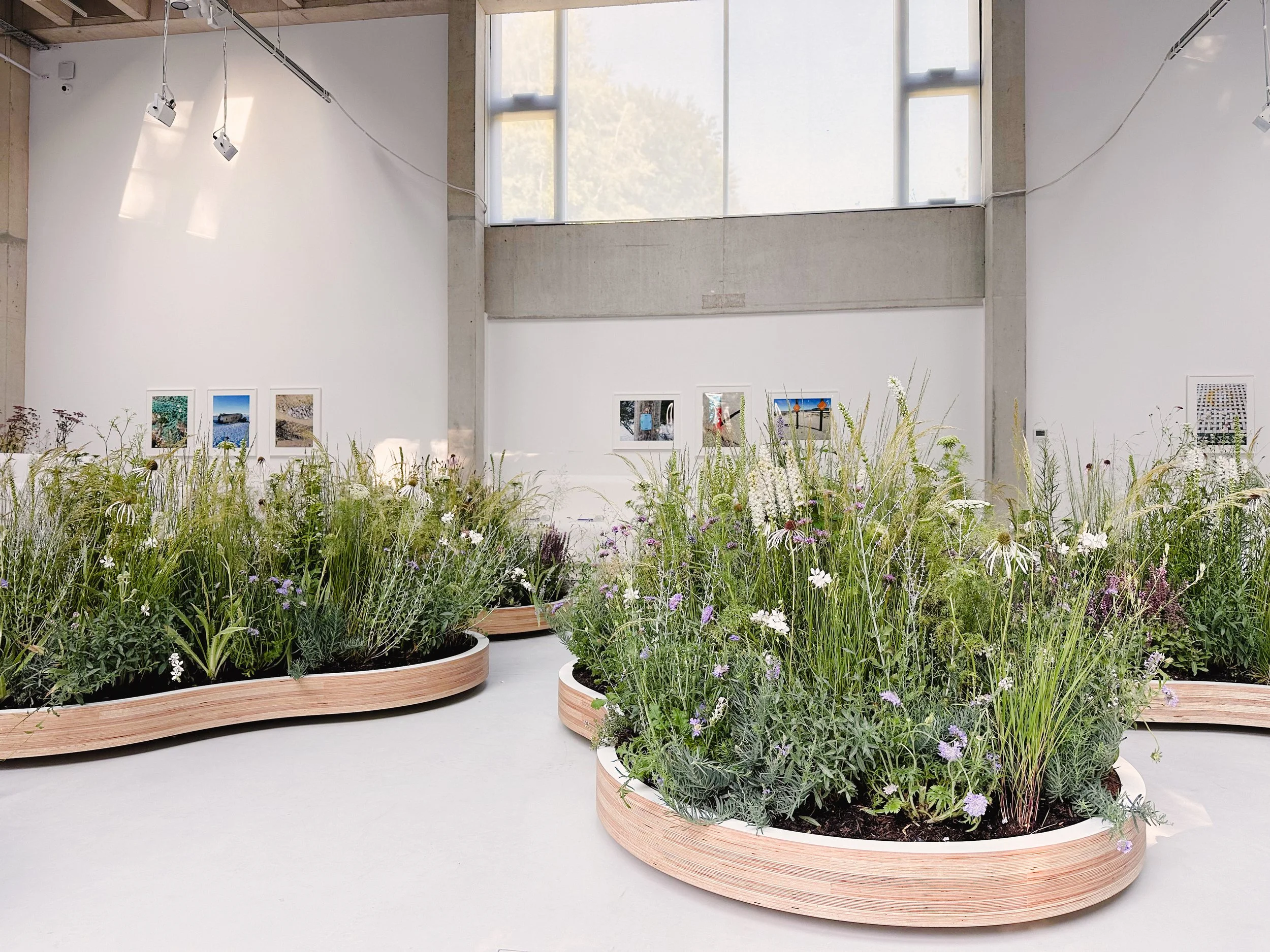 Goodwood Art Foundation Planting Design-15.jpg