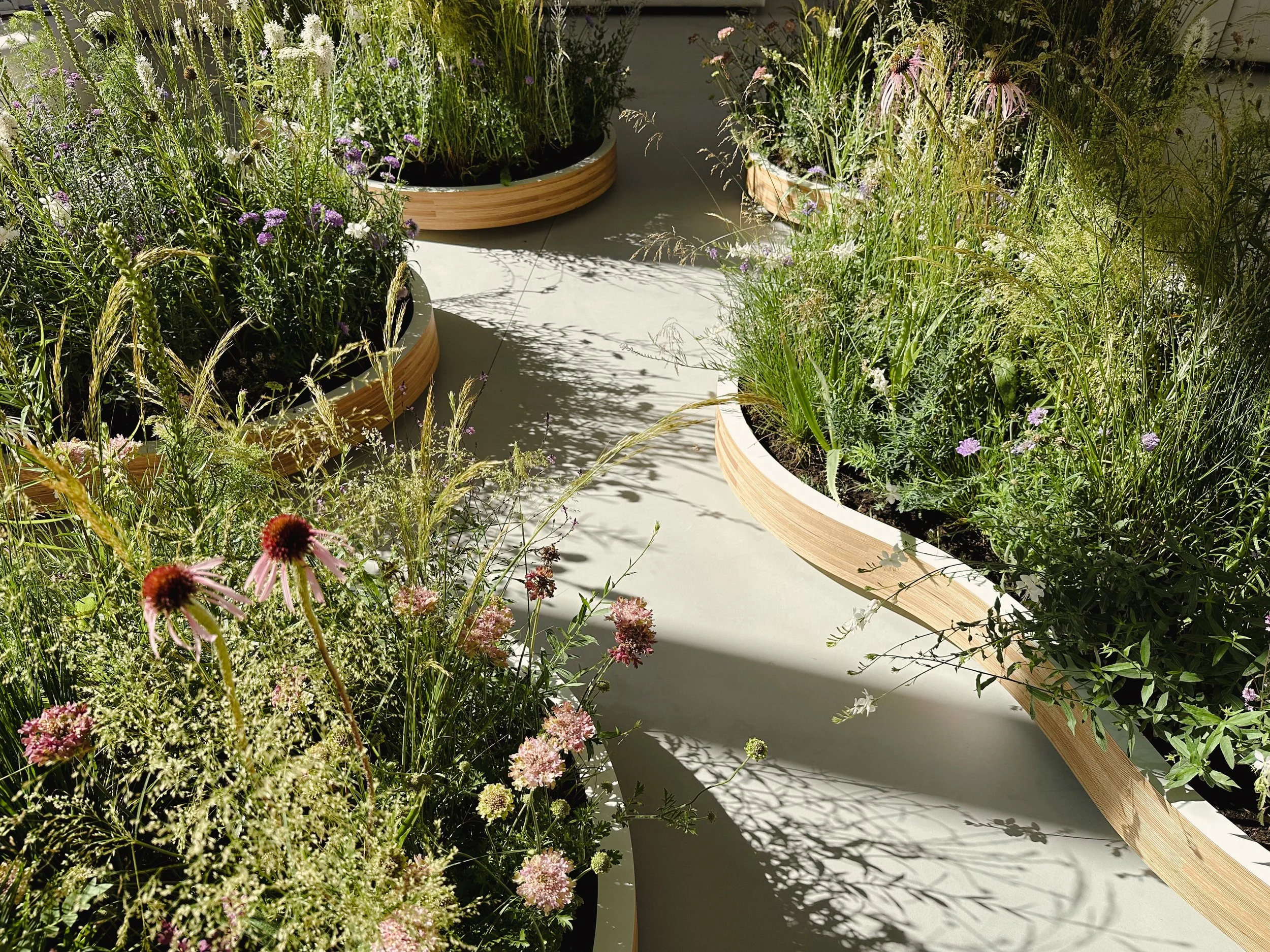 Goodwood Art Foundation Planting Design-38.jpg