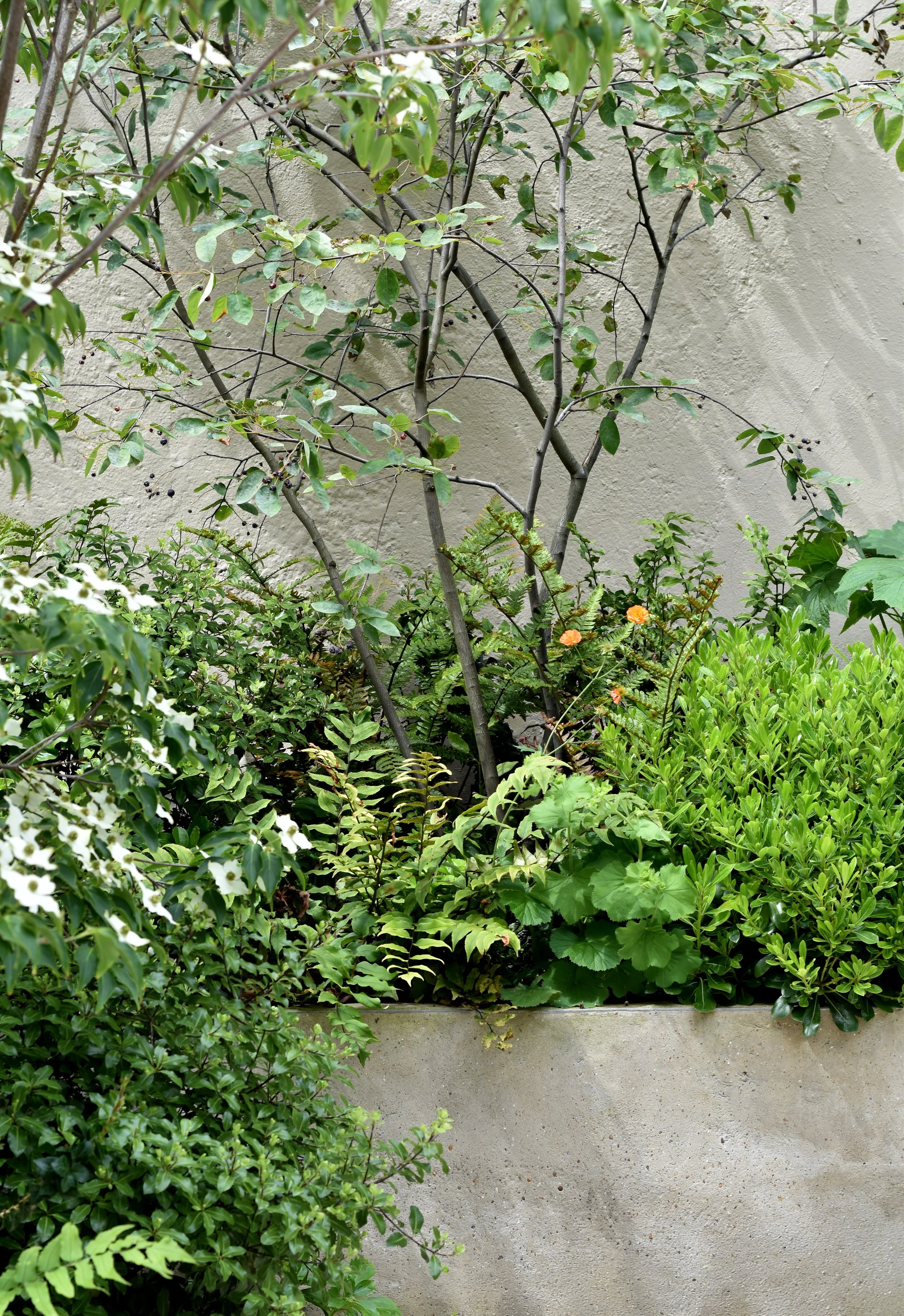 DSC_0468.jpg