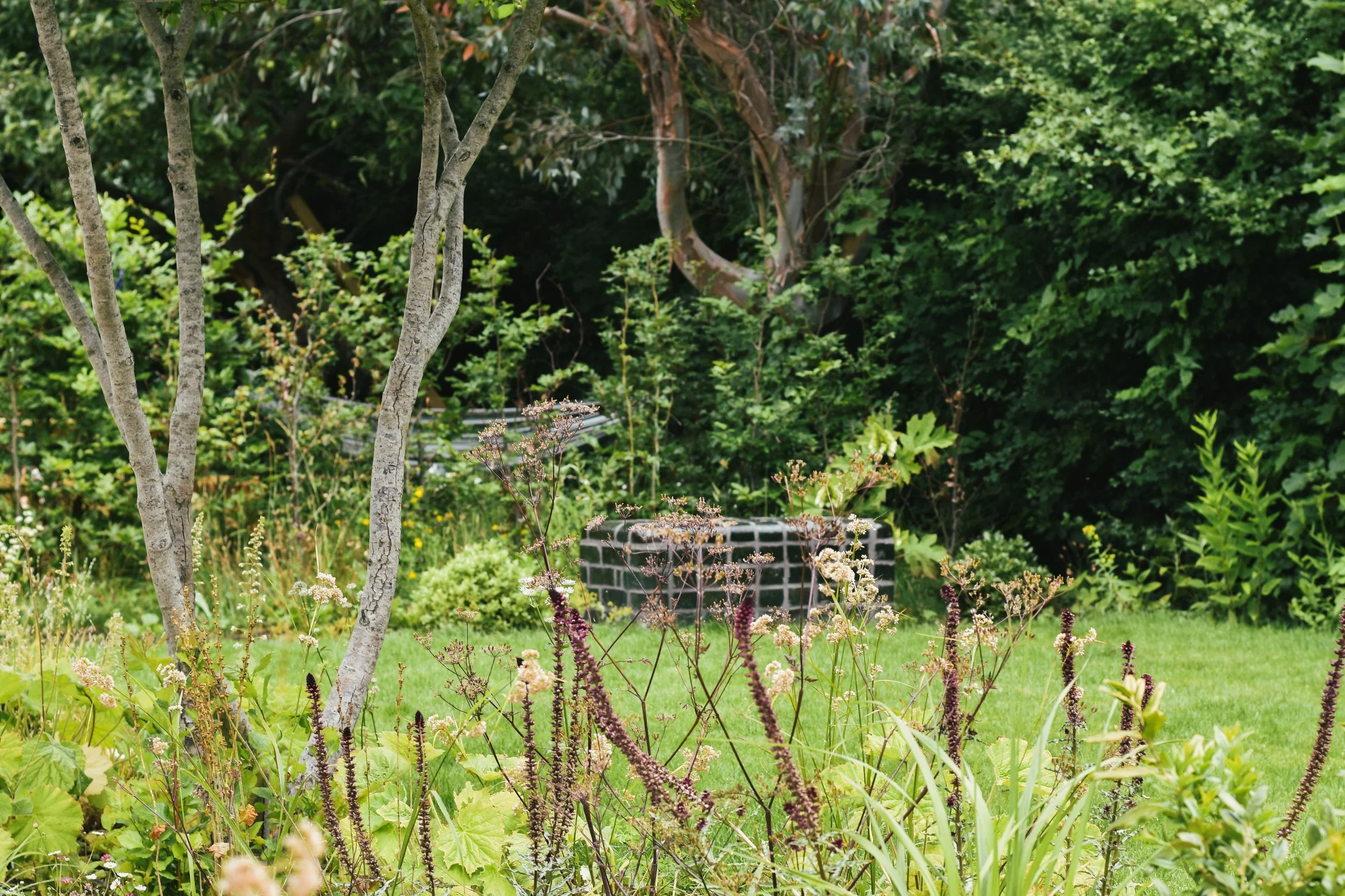 DSC_0486.jpg