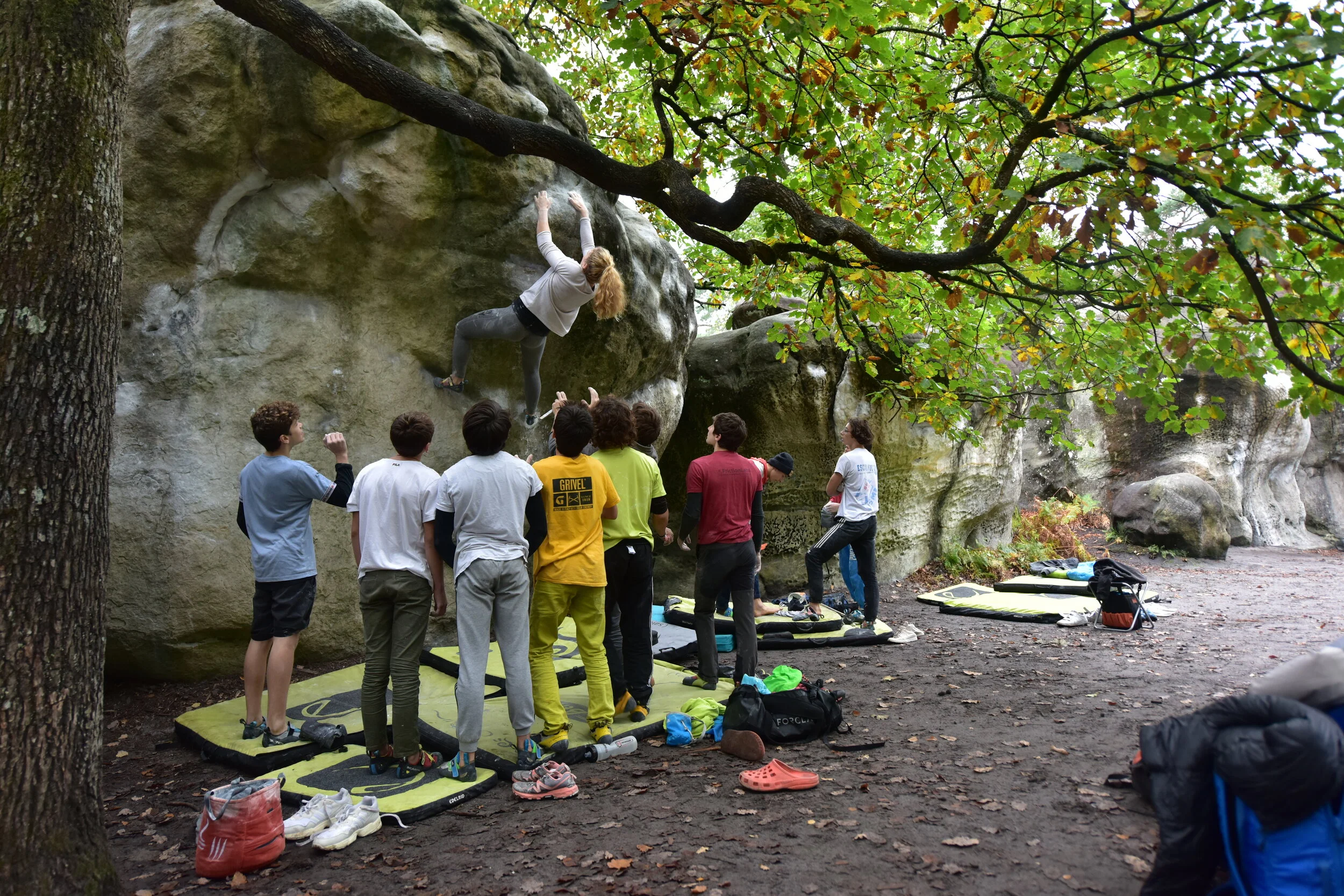 Stages Haut Niveau À Fontainebleau