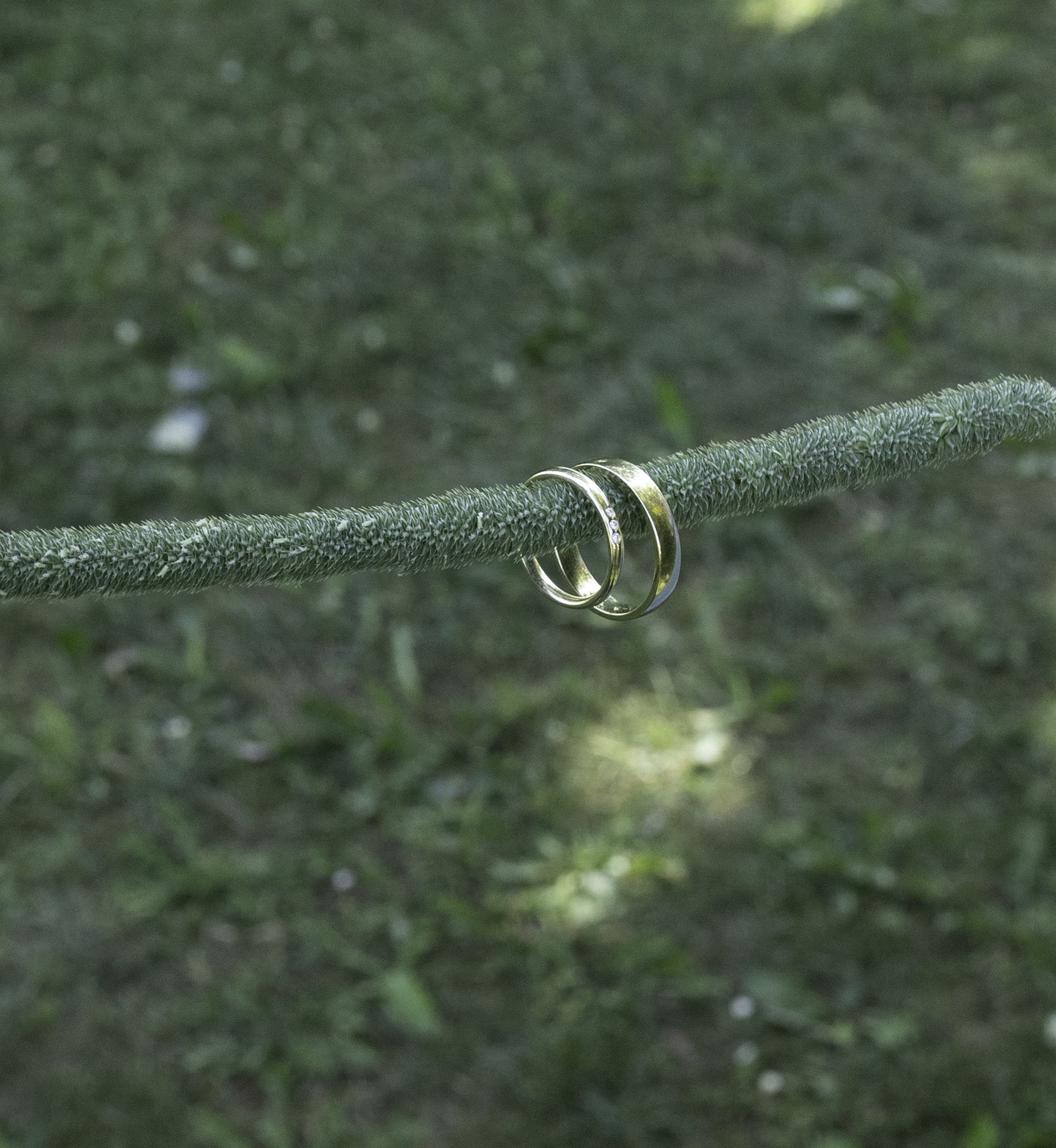 _K9A0174.jpg
