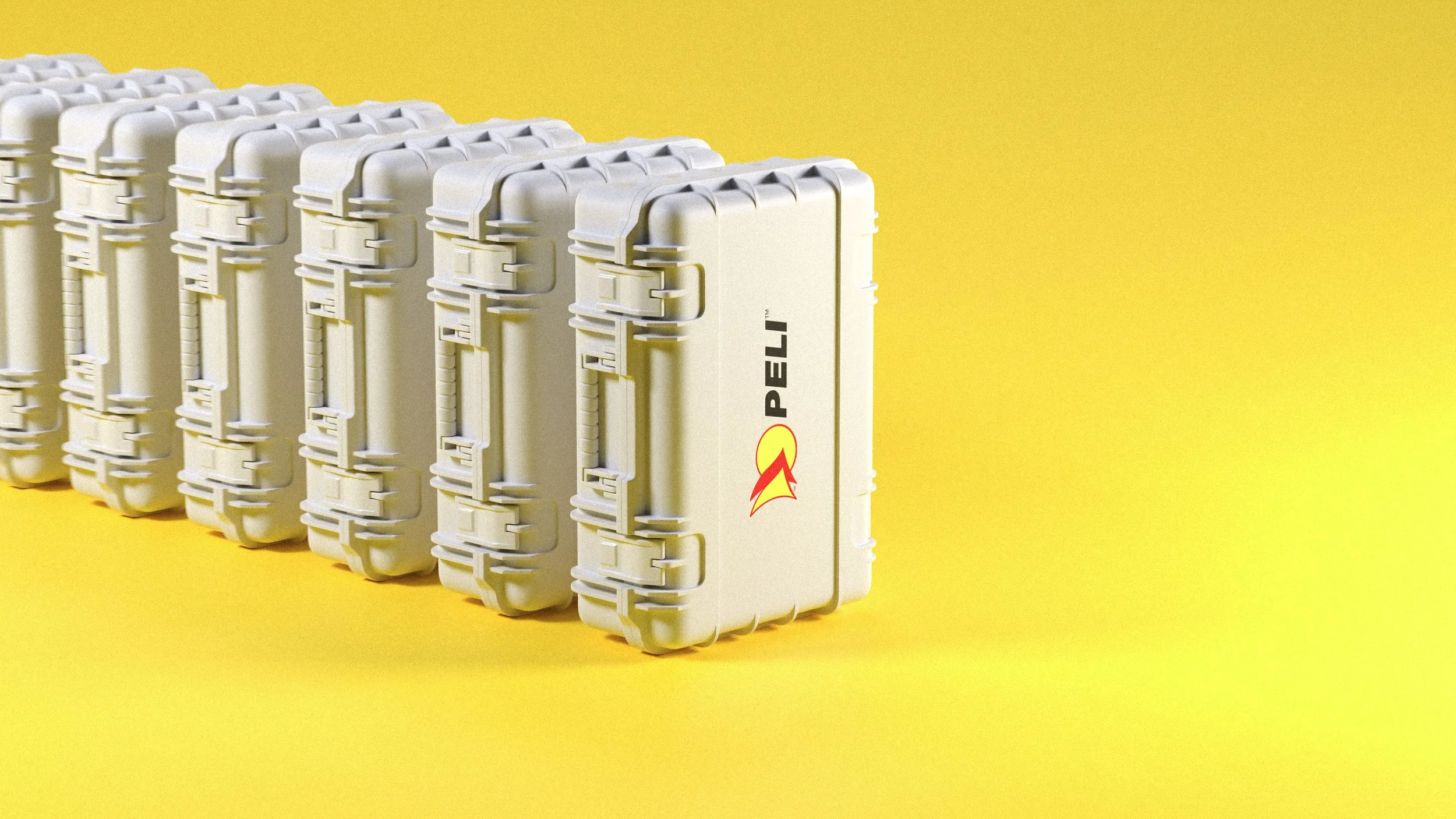 Travel Case.Vertical.jpg