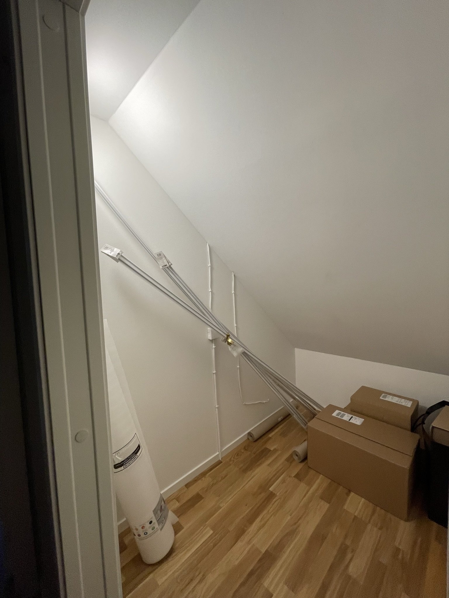 IMG_5014.JPEG