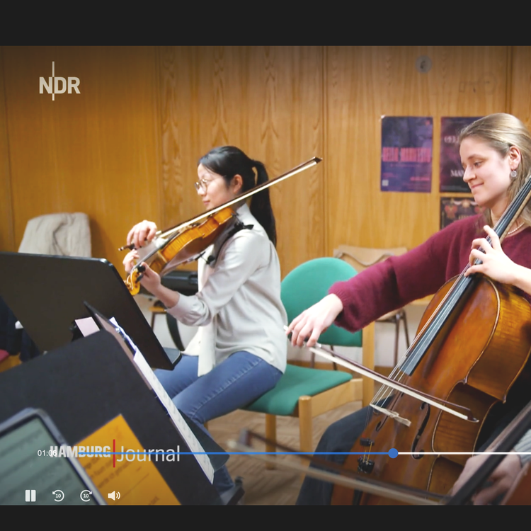NDR Hamburg Journal (ab Min 1:00, Feb 2026)
