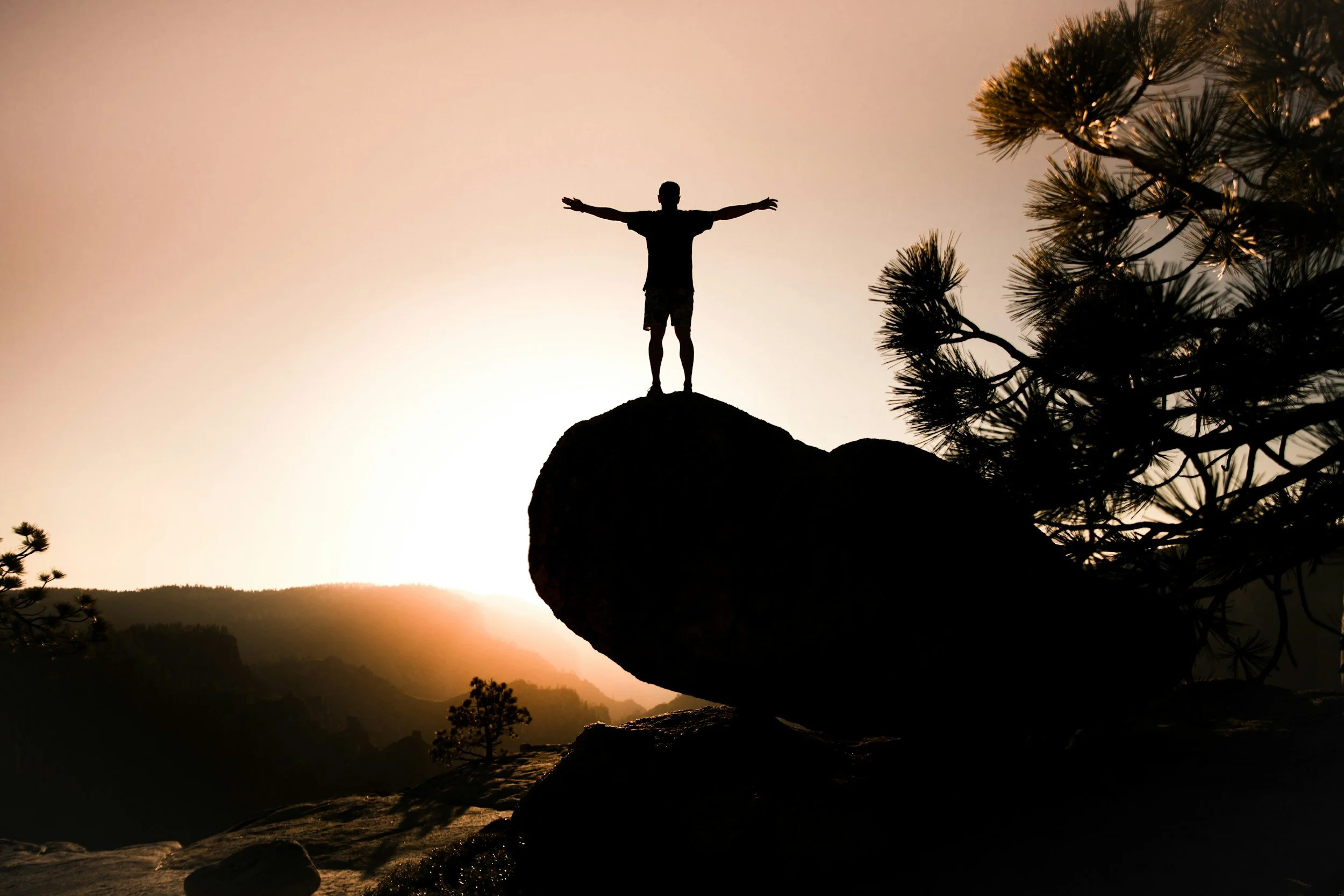 Silhouette of a person standing on a large rock with arms outstretched against a sunrise or sunset background, with trees and mountains in the distance.