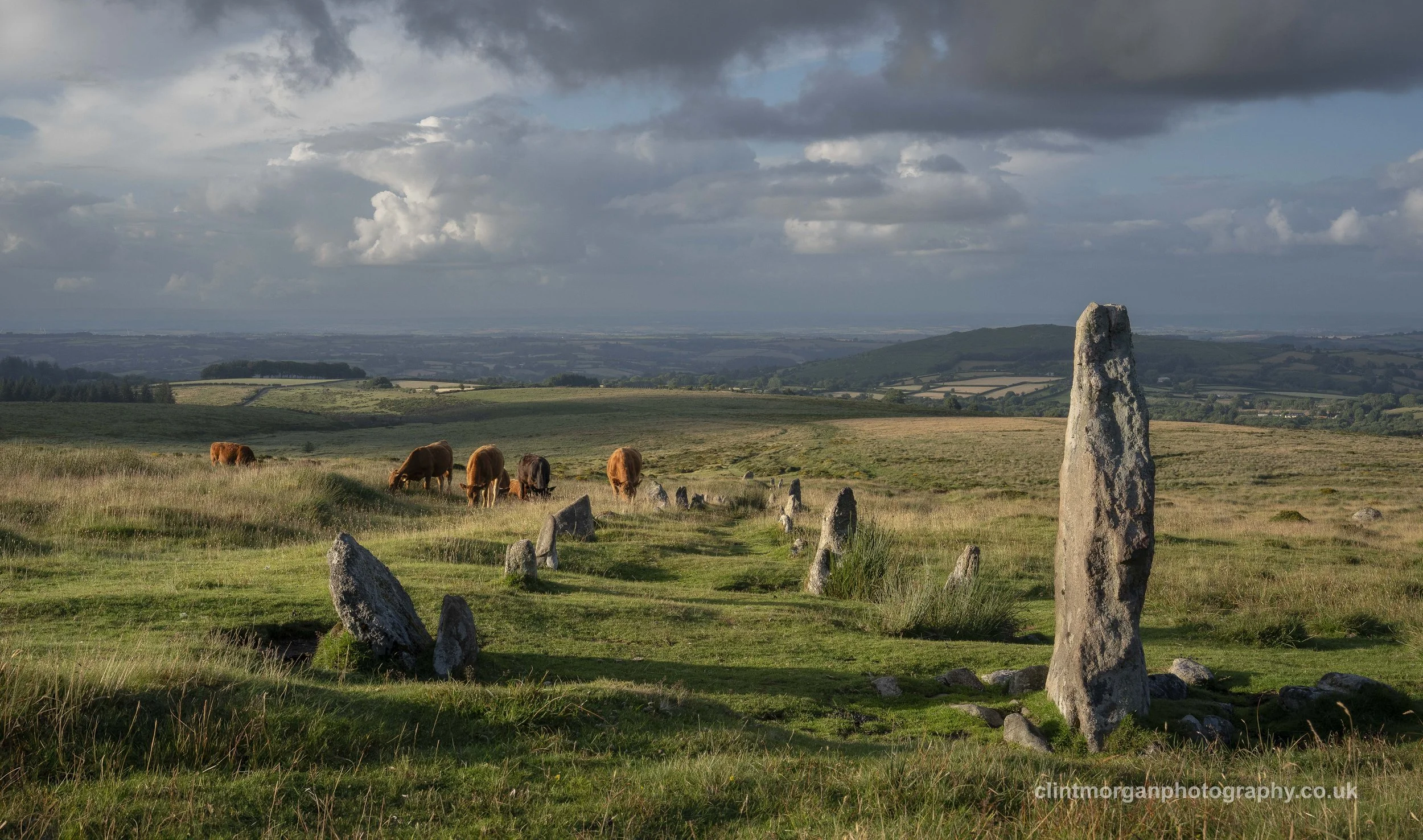 Ancient Stone Row