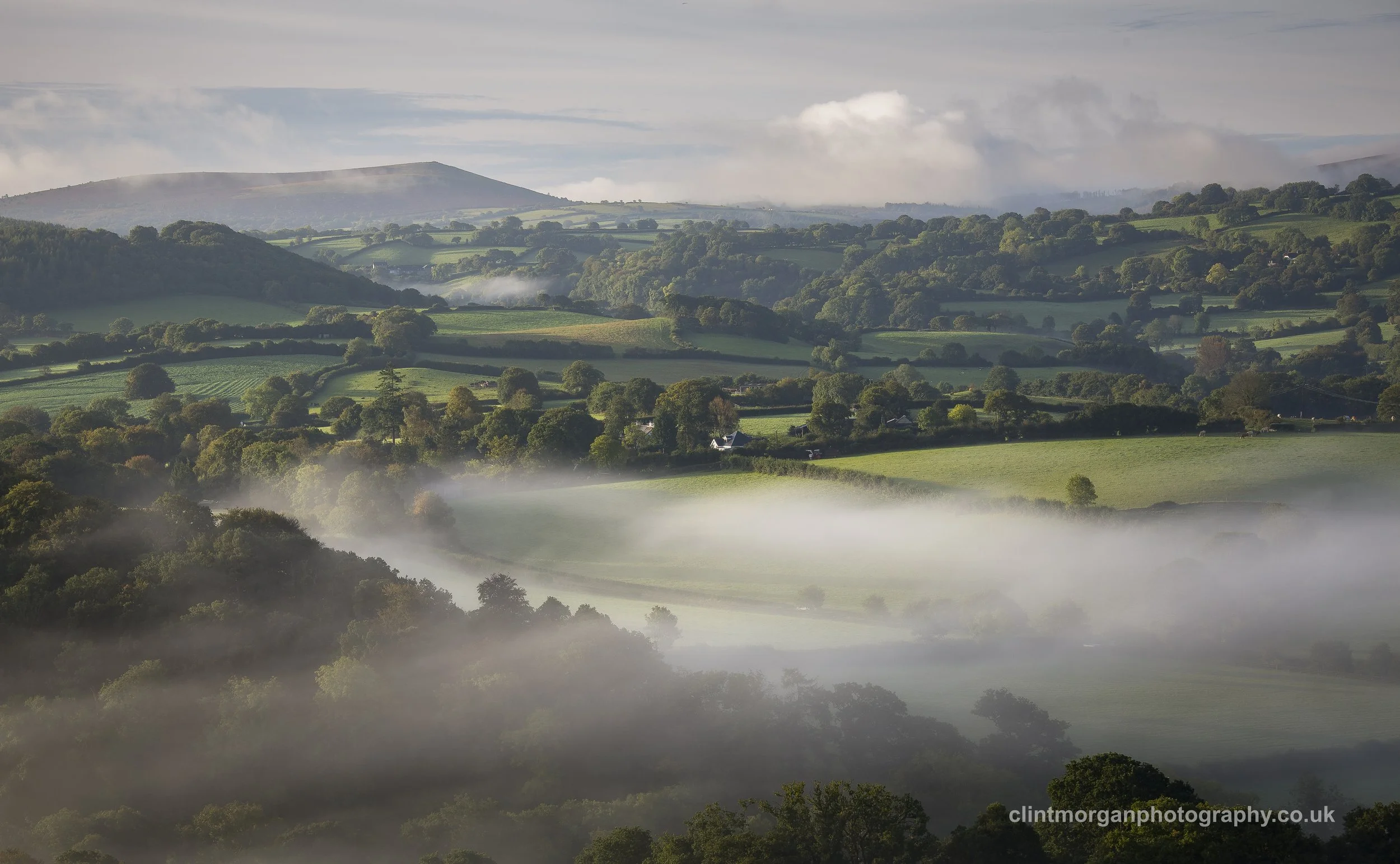 The Wooded Hills