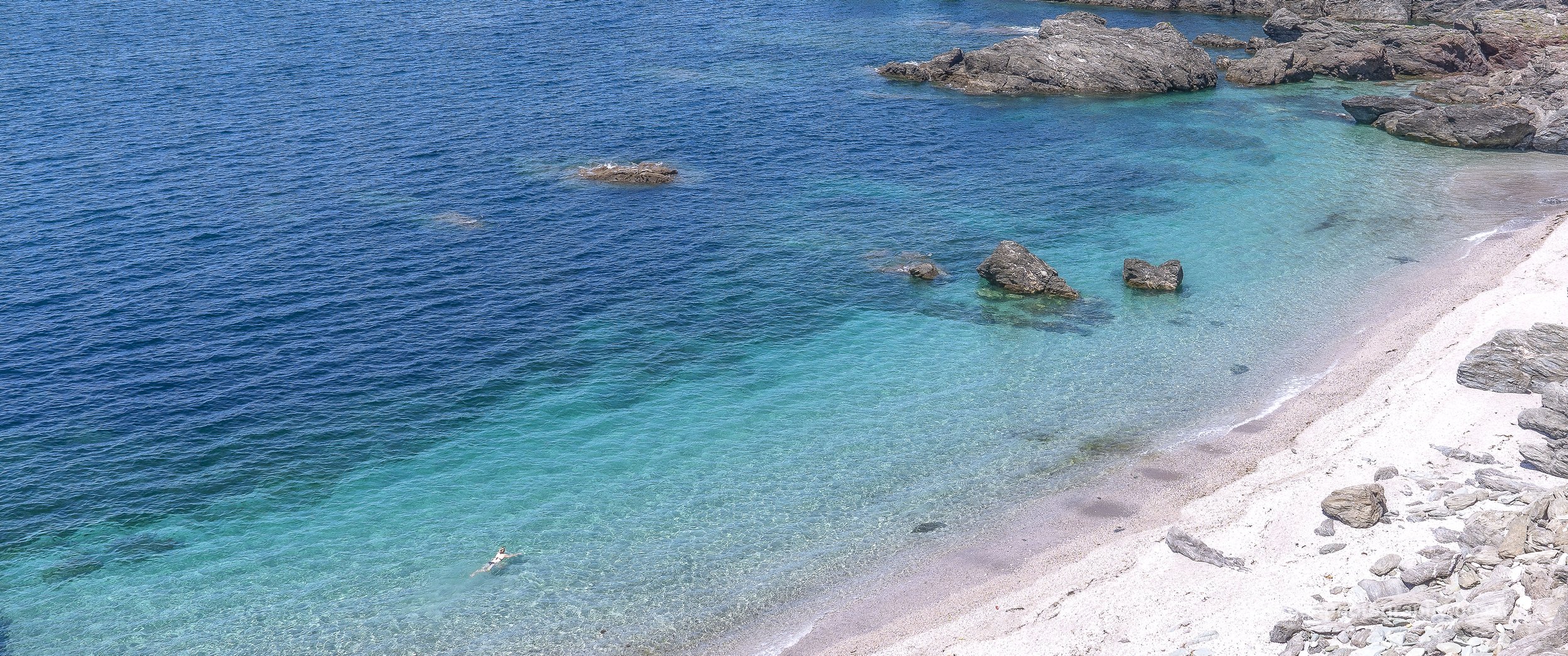 Wild Swim