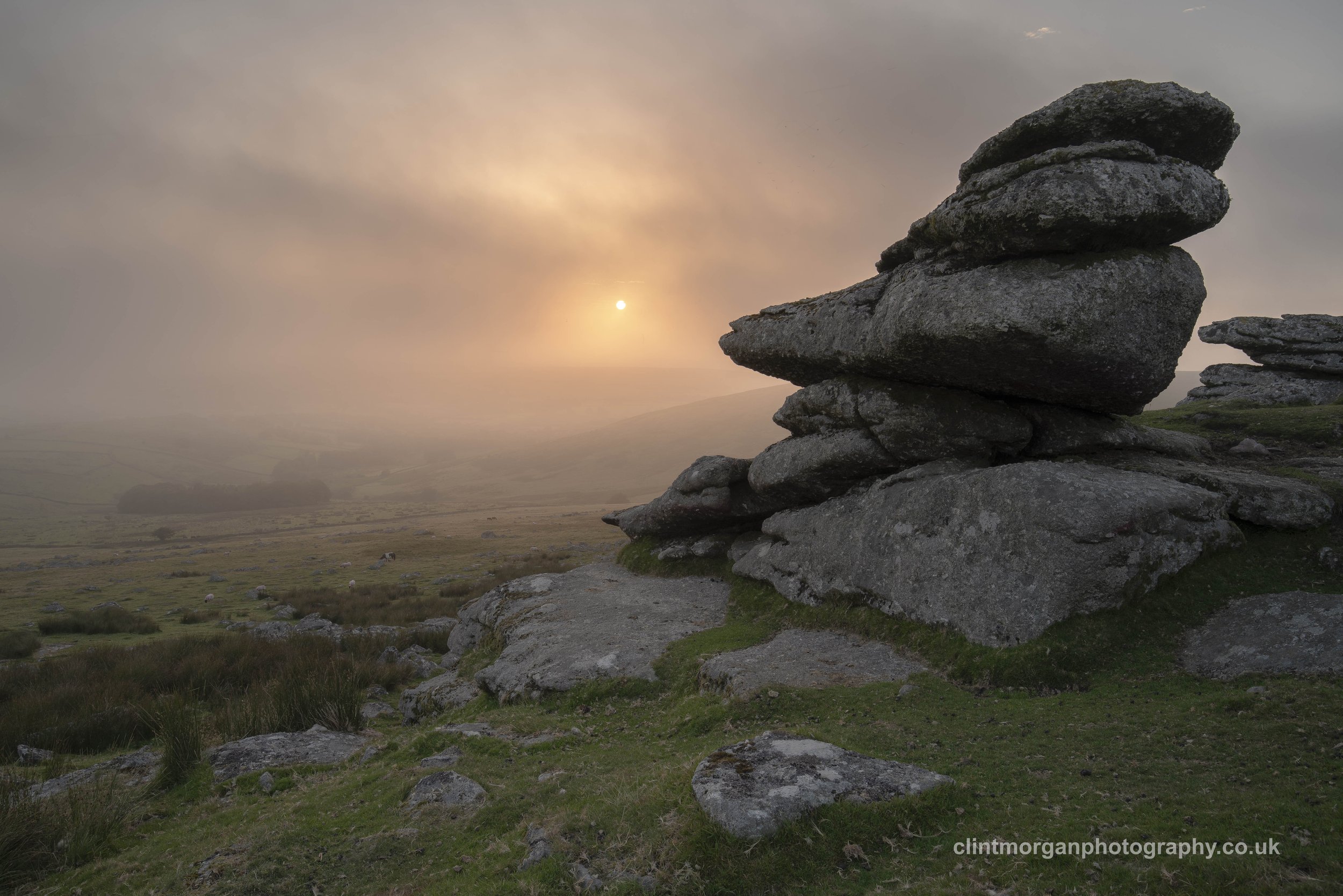 Lynch Tor