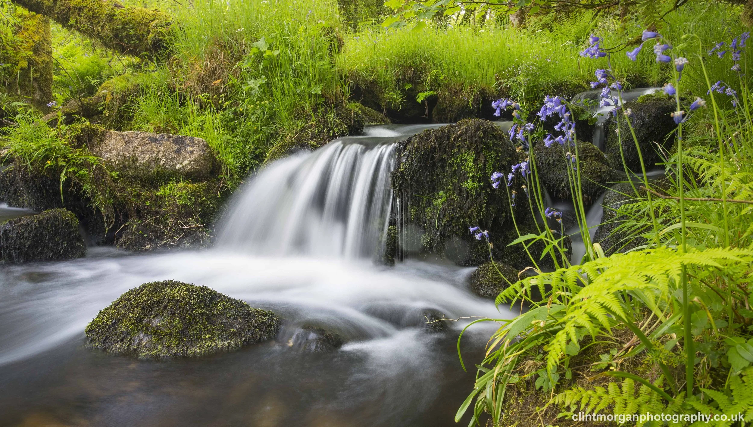 Bluebell Falls
